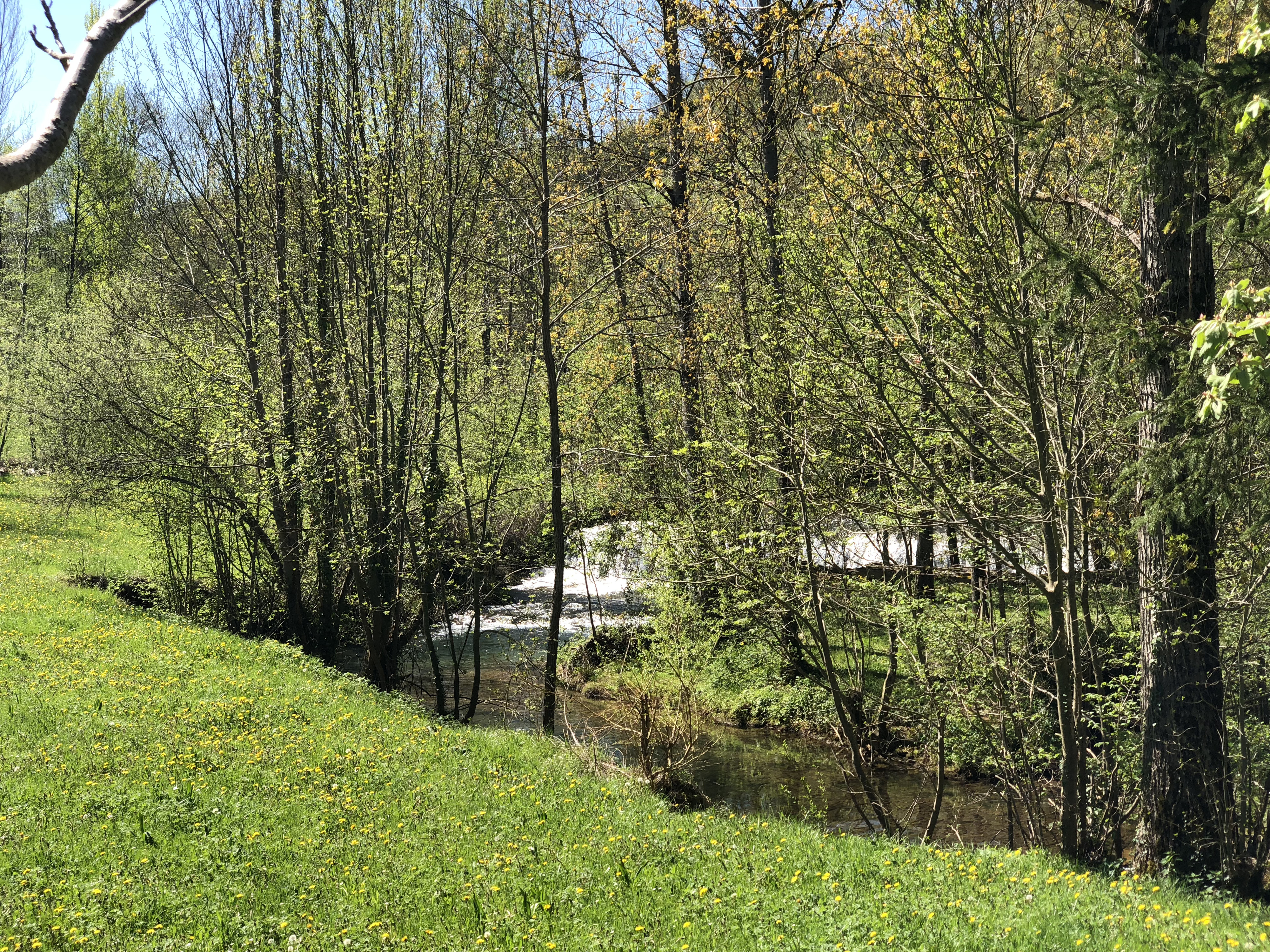 Picture France Conques 2018-04 90 - Center Conques