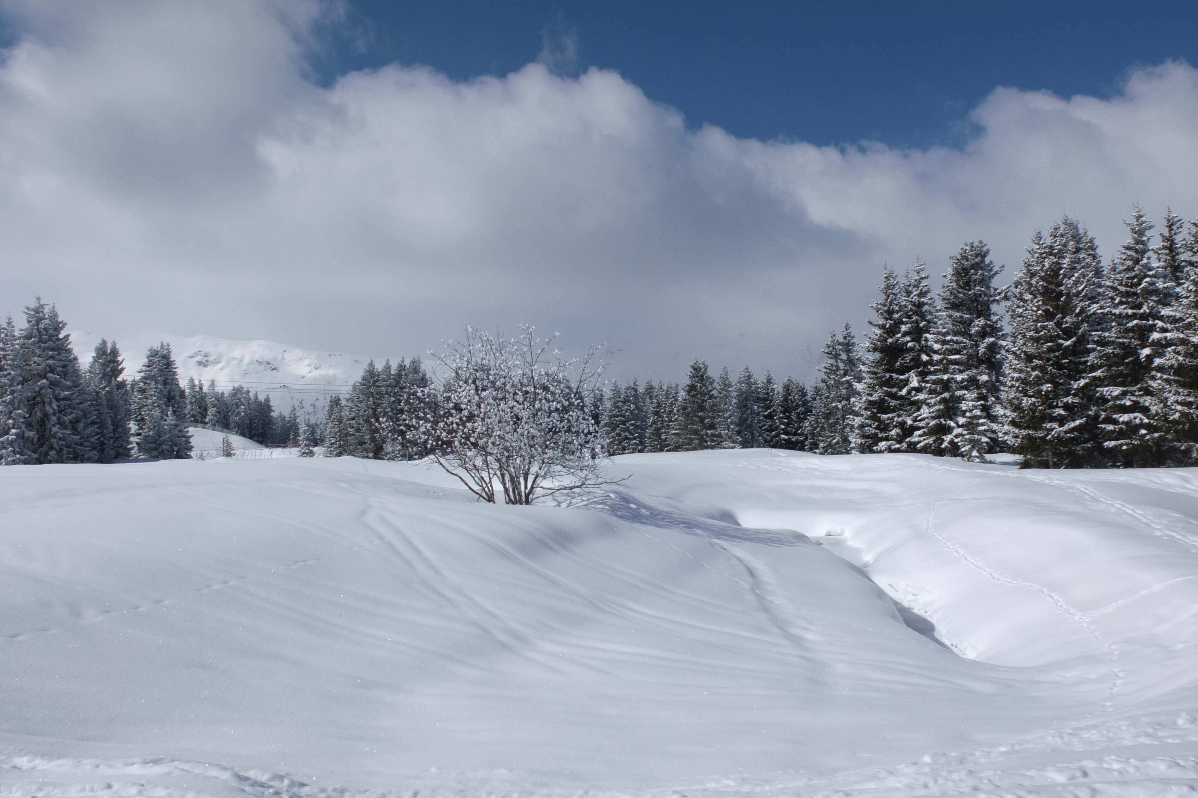 Picture France Les 3 Vallees 2013-03 391 - History Les 3 Vallees