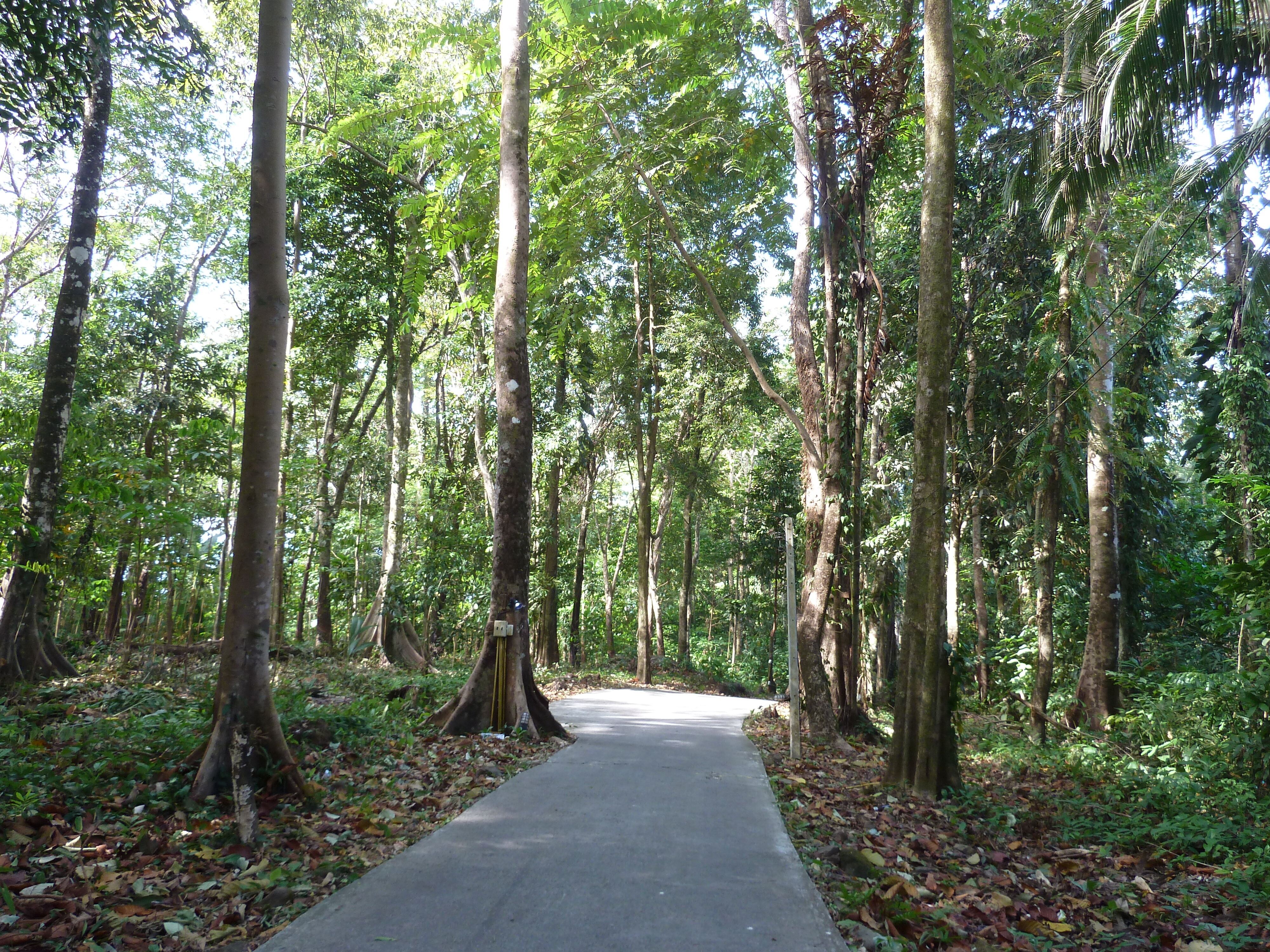 Picture Thailand Ko Chang 2011-12 76 - Tour Ko Chang