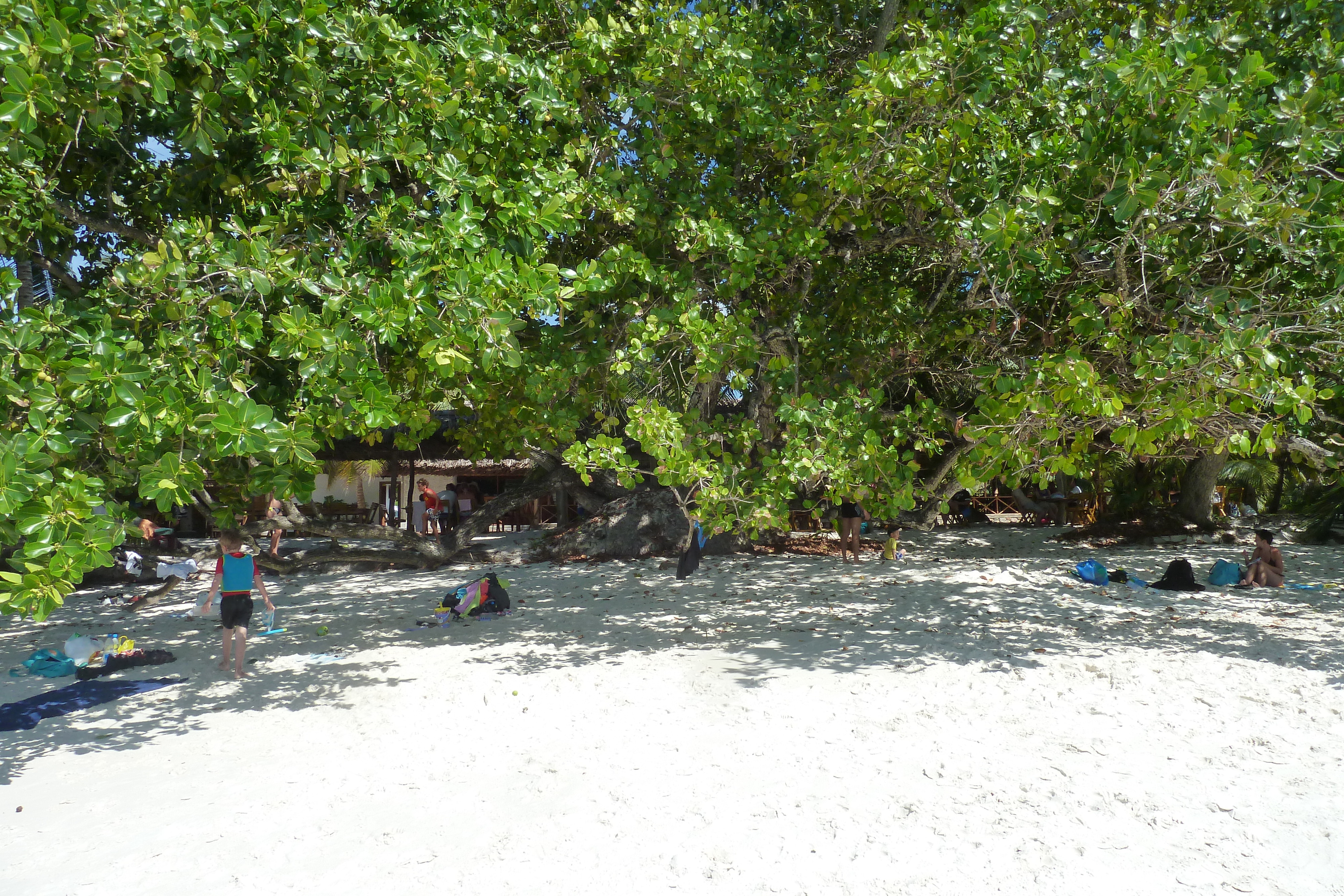 Picture Seychelles Anse Lazio 2011-10 136 - Tours Anse Lazio