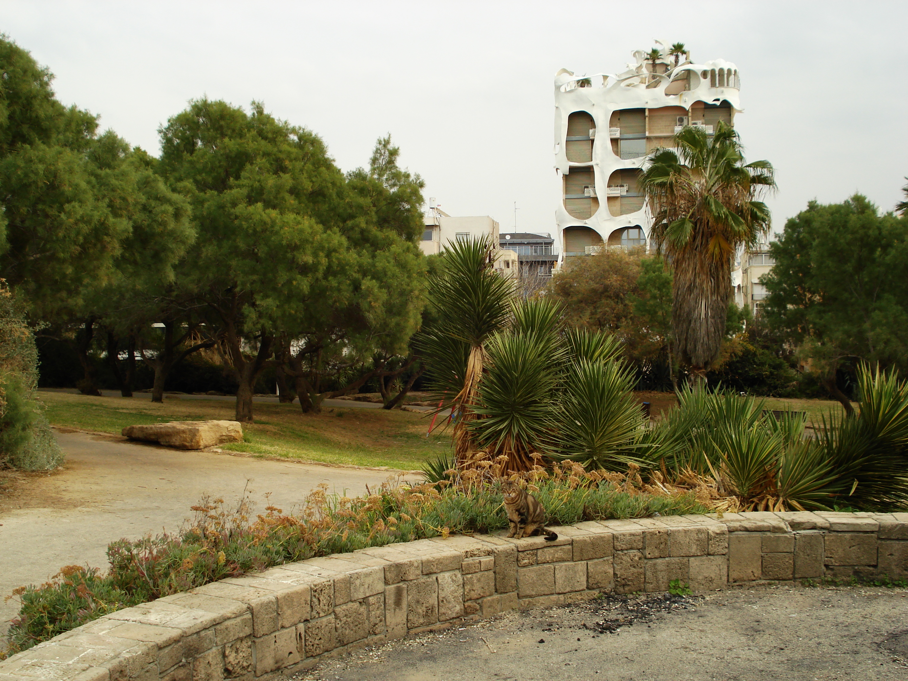 Picture Israel Tel Aviv Tel Aviv Sea Shore 2006-12 24 - Journey Tel Aviv Sea Shore