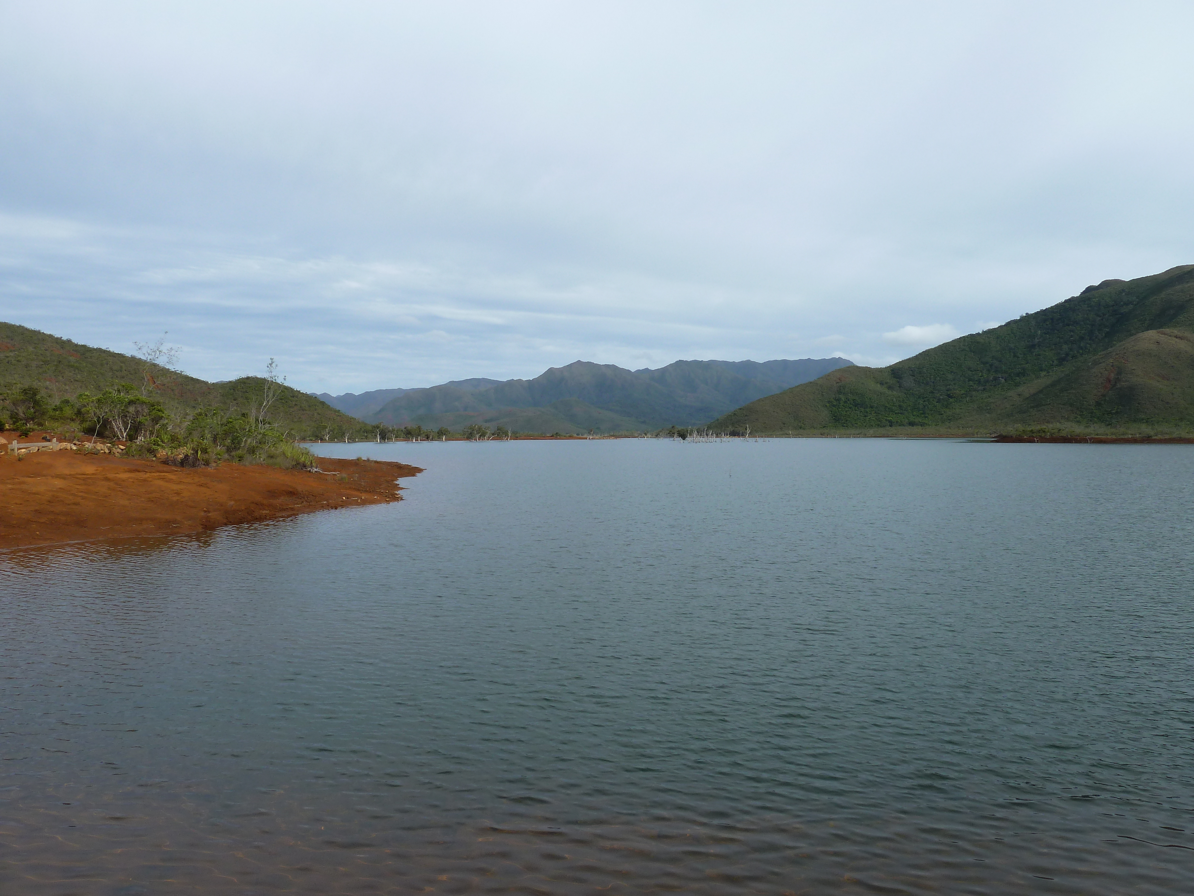 Picture New Caledonia Parc de la Riviere Bleue 2010-05 76 - Tours Parc de la Riviere Bleue