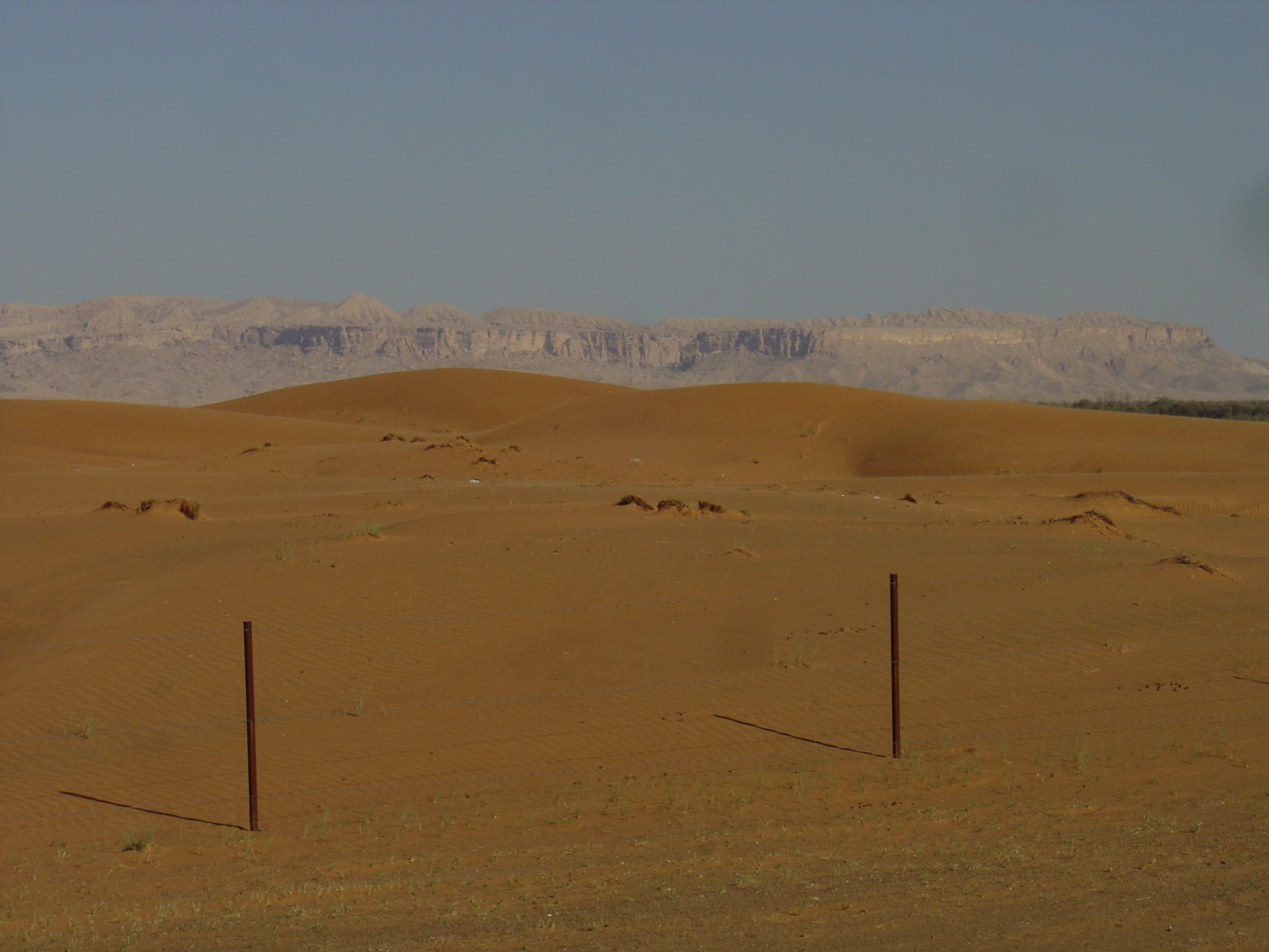 Picture United Arab Emirates Dubai to Al Ain road 2005-03 8 - Around Dubai to Al Ain road