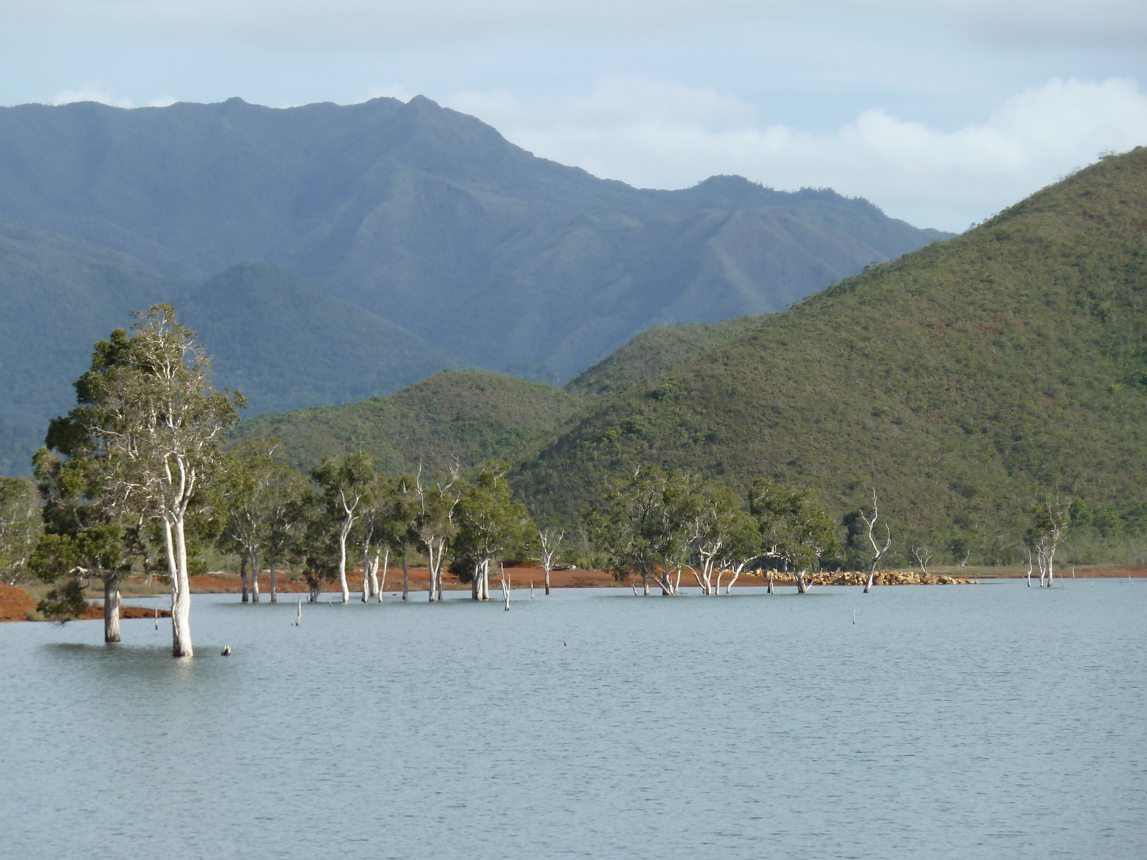 Picture New Caledonia Parc de la Riviere Bleue 2010-05 101 - History Parc de la Riviere Bleue