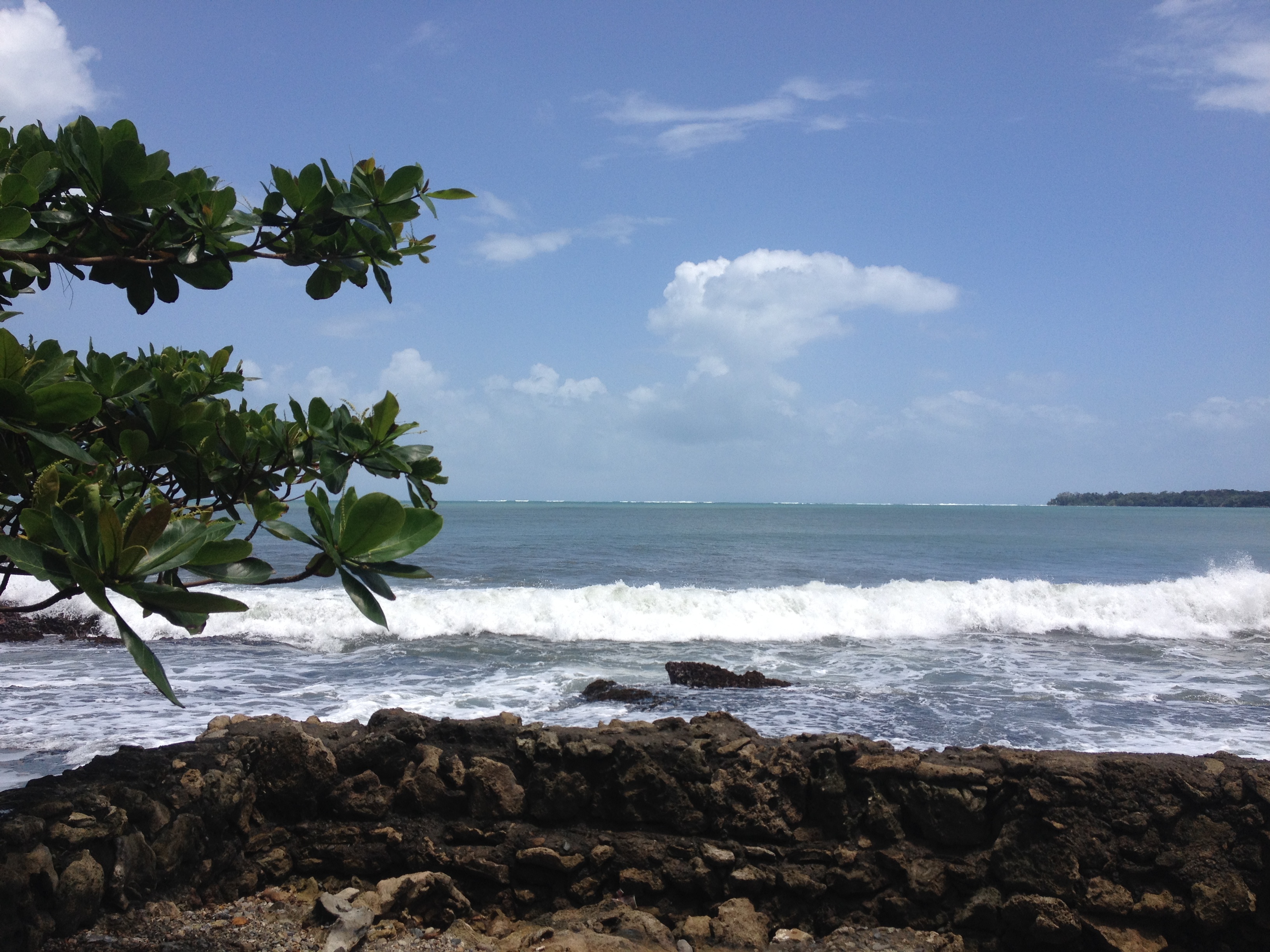 Picture Costa Rica Cahuita 2015-03 196 - Tours Cahuita