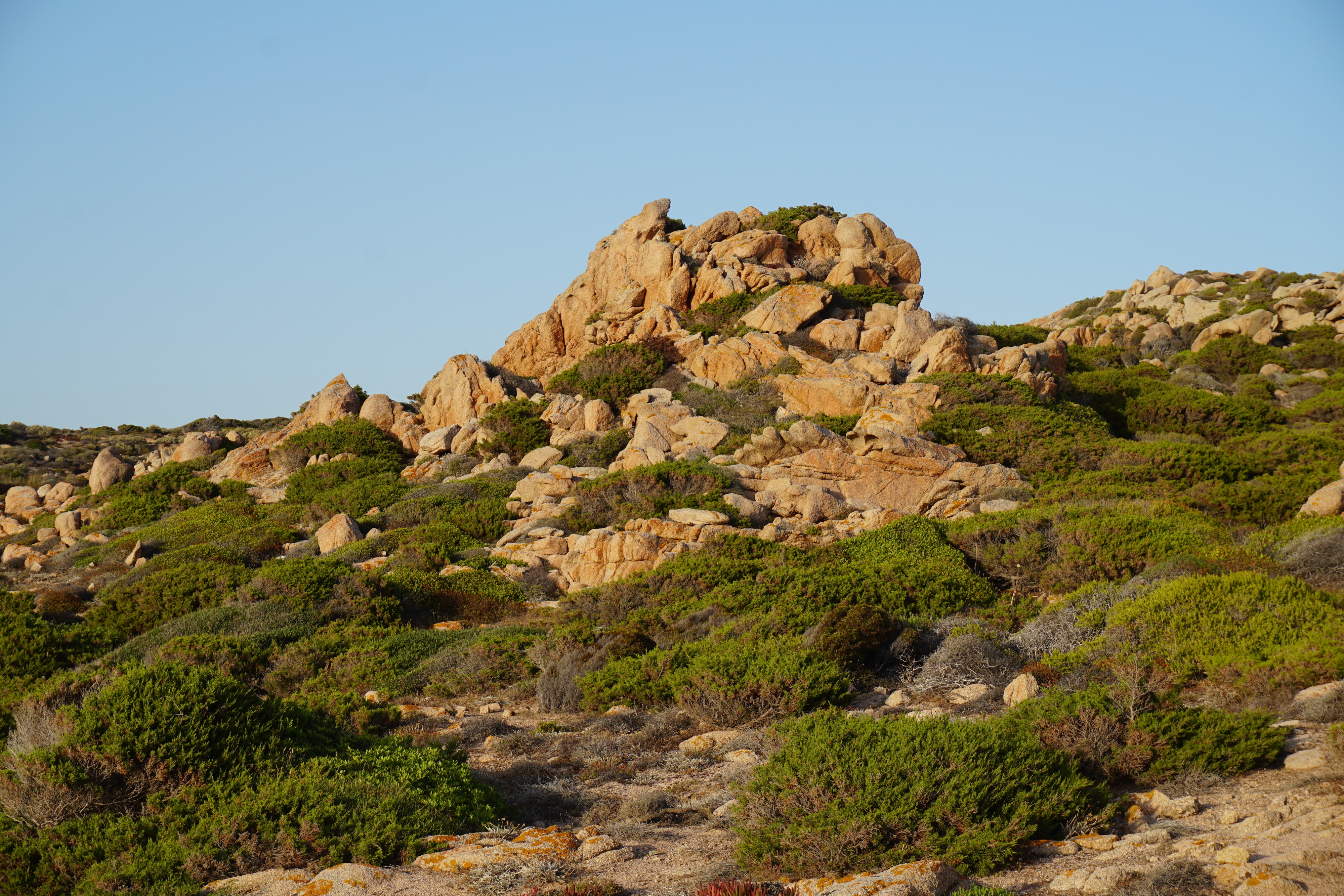 Picture France Corsica Tonnara Beach 2017-07 5 - Tour Tonnara Beach