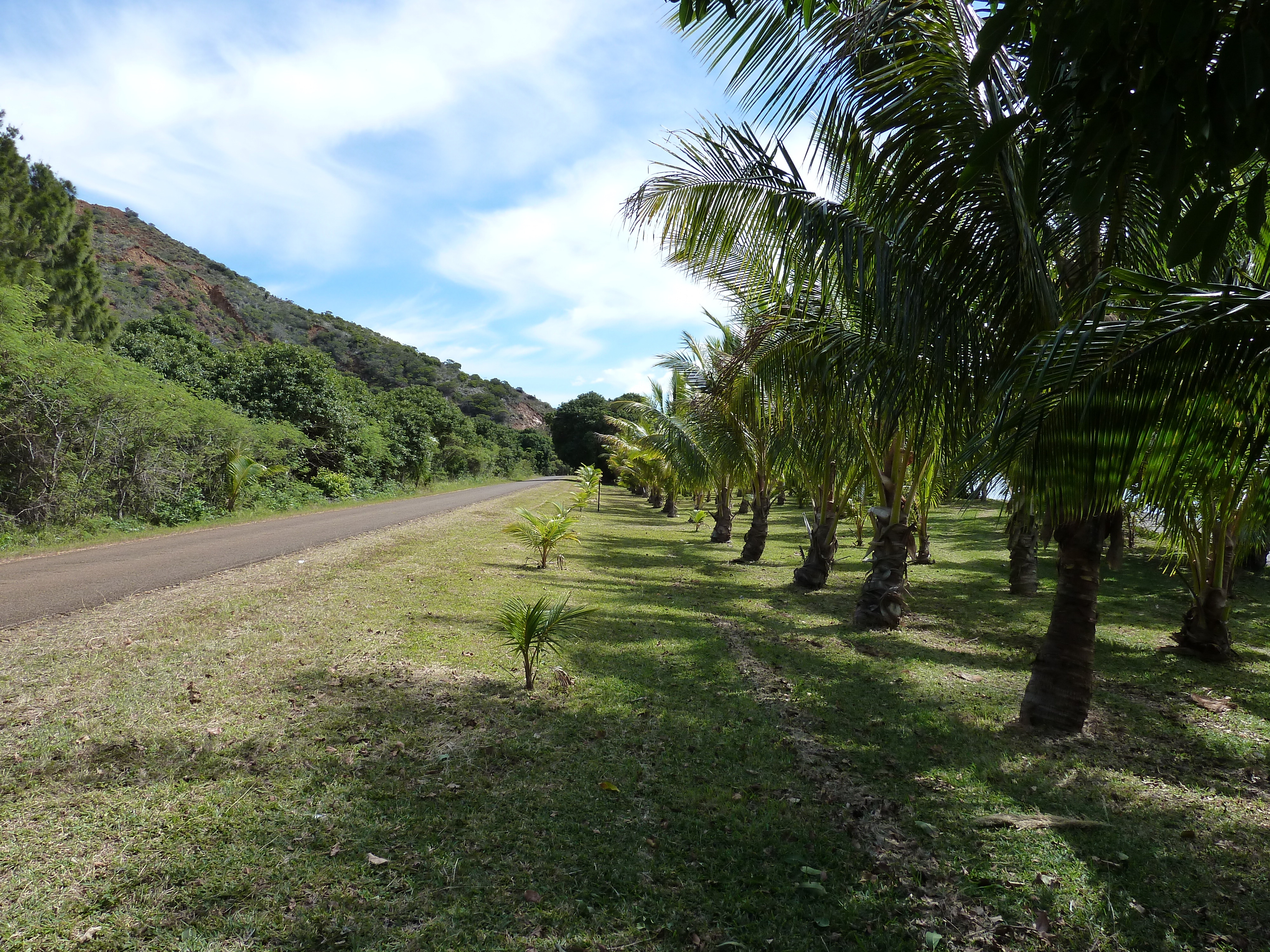 Picture New Caledonia Thio 2010-05 4 - Tour Thio