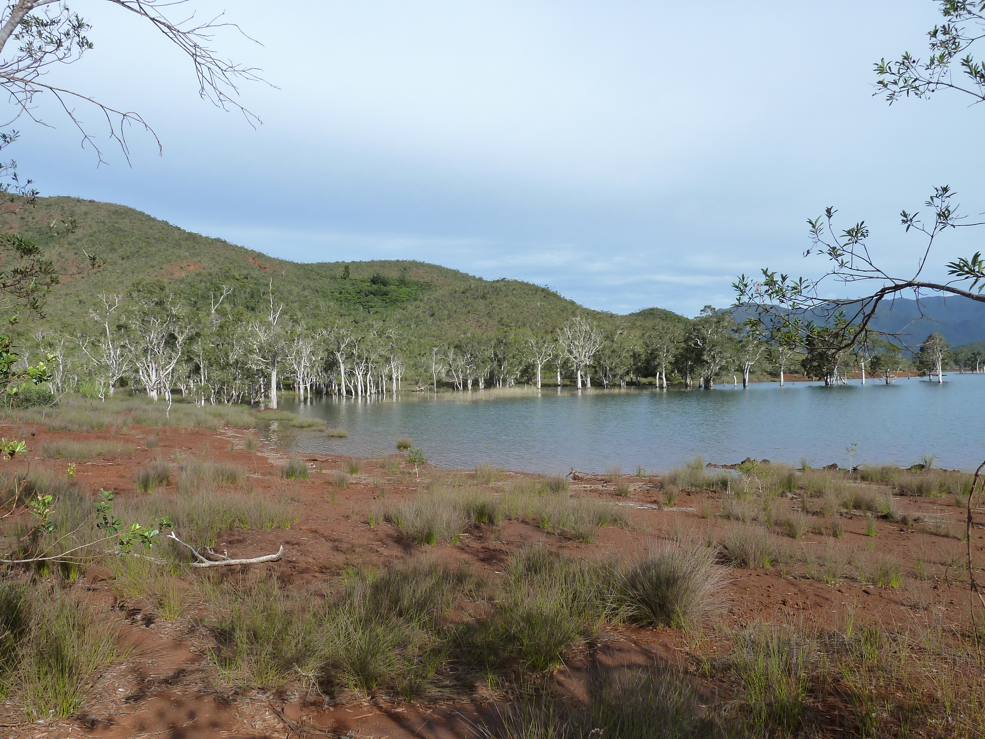 Picture New Caledonia Parc de la Riviere Bleue 2010-05 122 - Around Parc de la Riviere Bleue