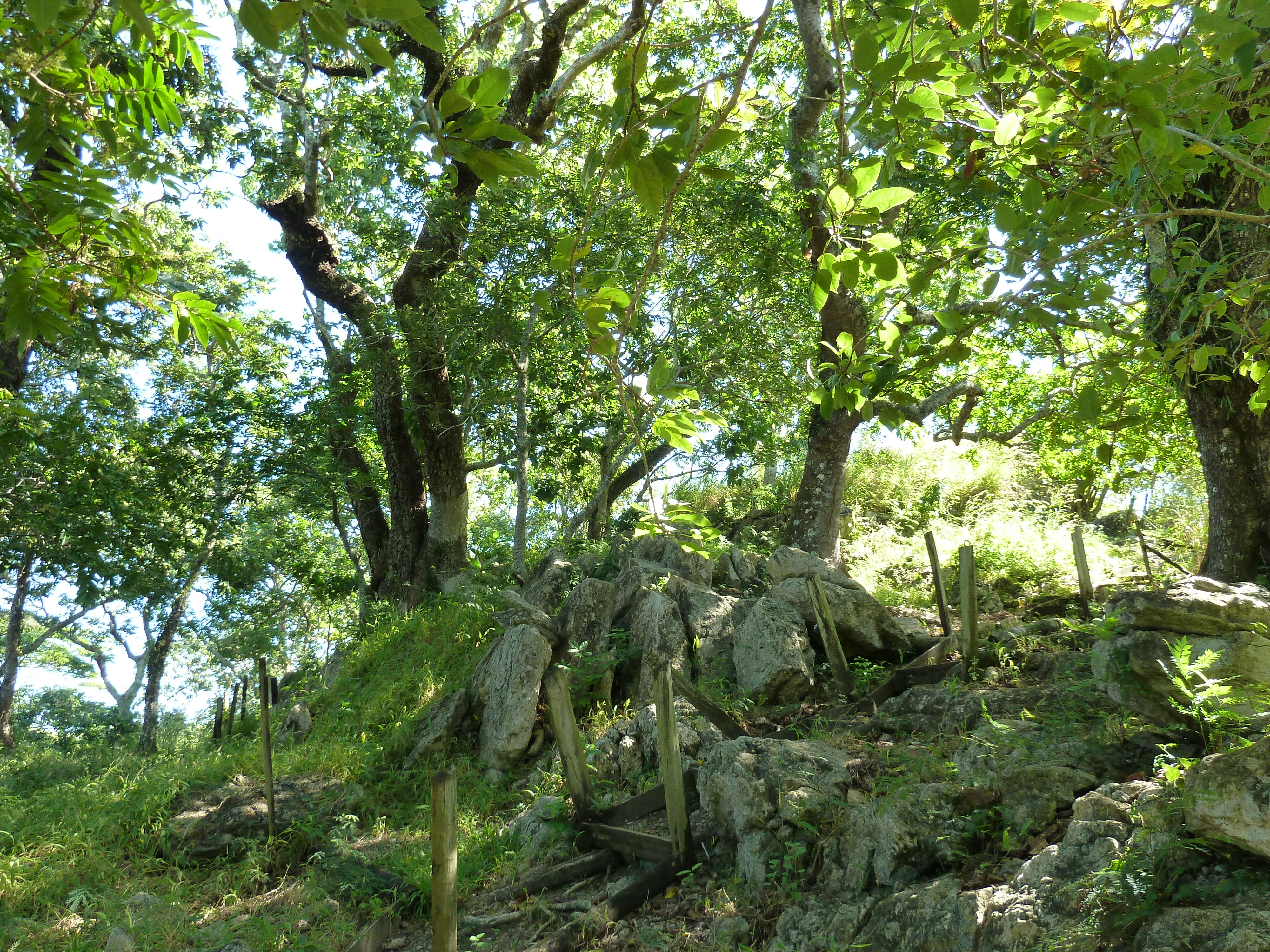 Picture Fiji Tavuni Hill Fort 2010-05 1 - History Tavuni Hill Fort