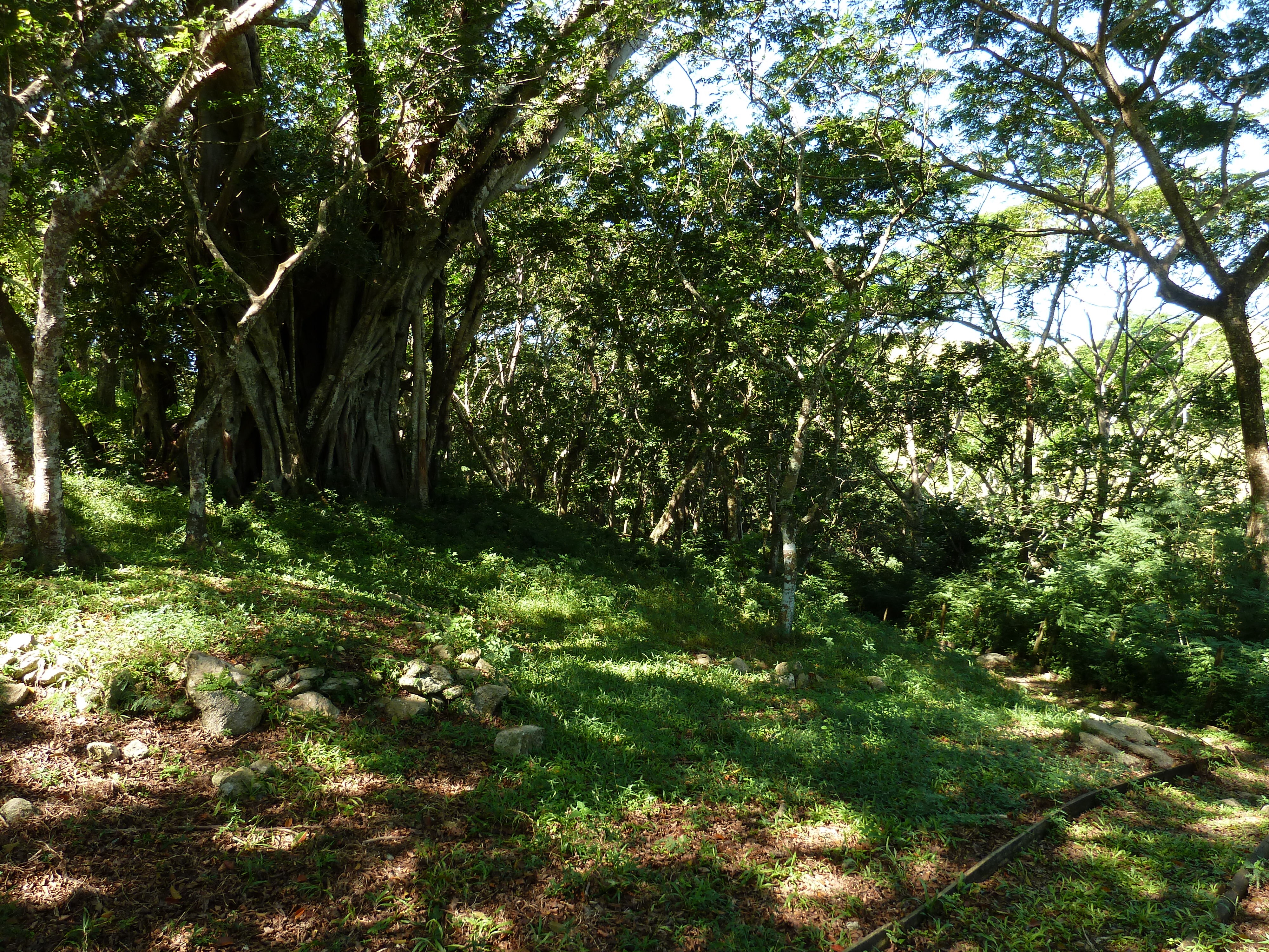 Picture Fiji Tavuni Hill Fort 2010-05 4 - Recreation Tavuni Hill Fort