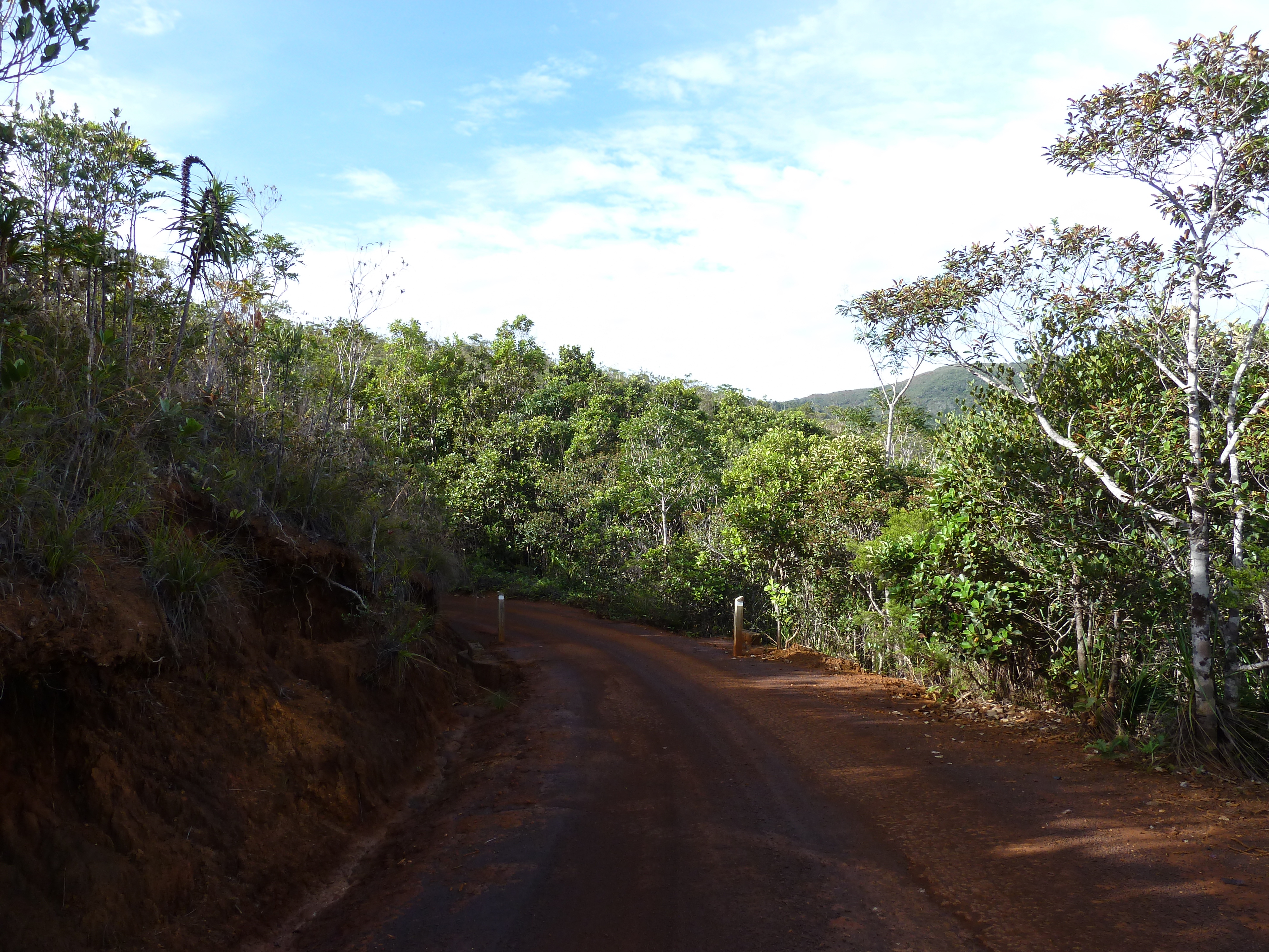 Picture New Caledonia Parc de la Riviere Bleue 2010-05 139 - Journey Parc de la Riviere Bleue