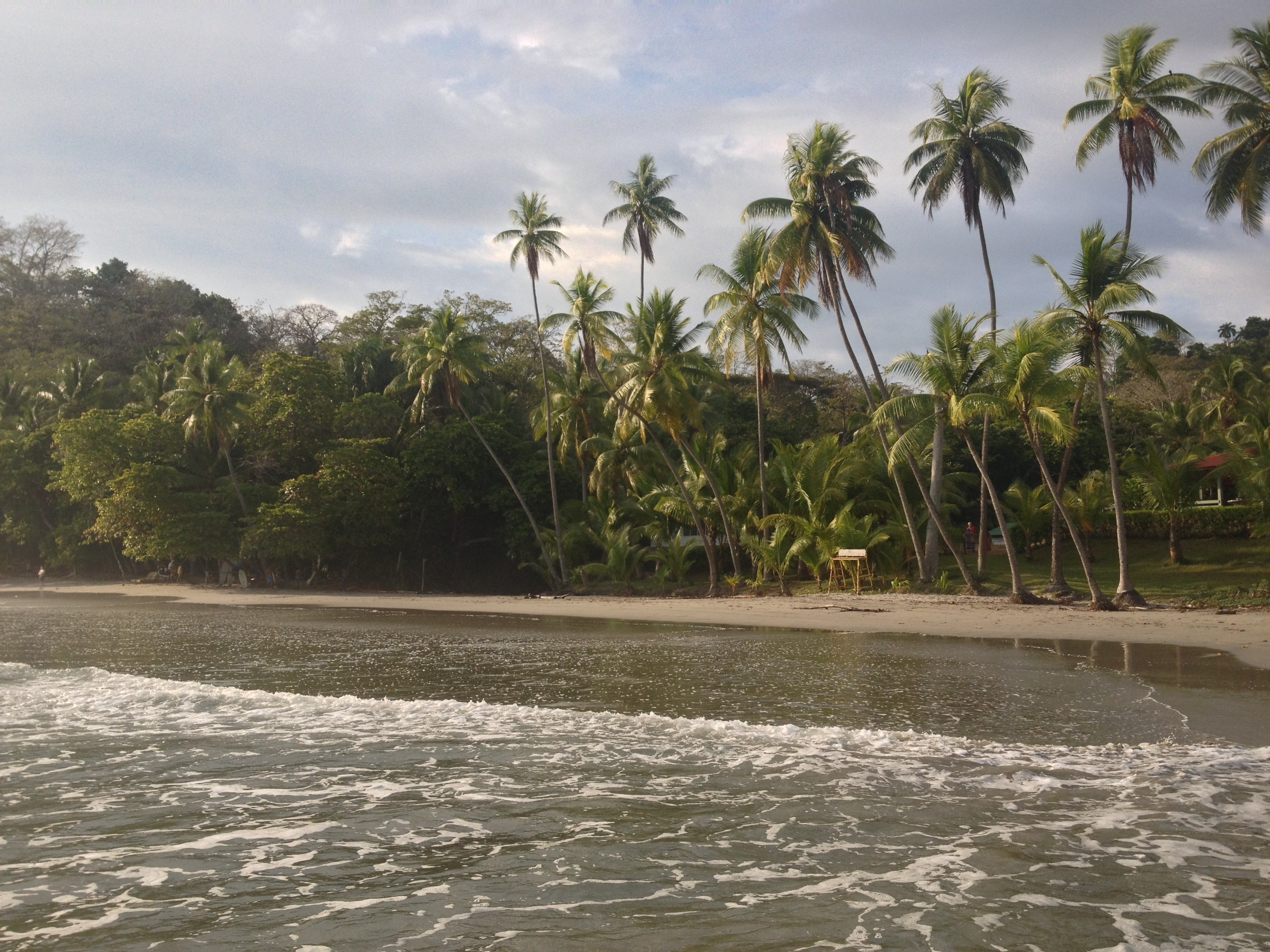 Picture Costa Rica Manuel Antonio 2015-03 263 - Tours Manuel Antonio