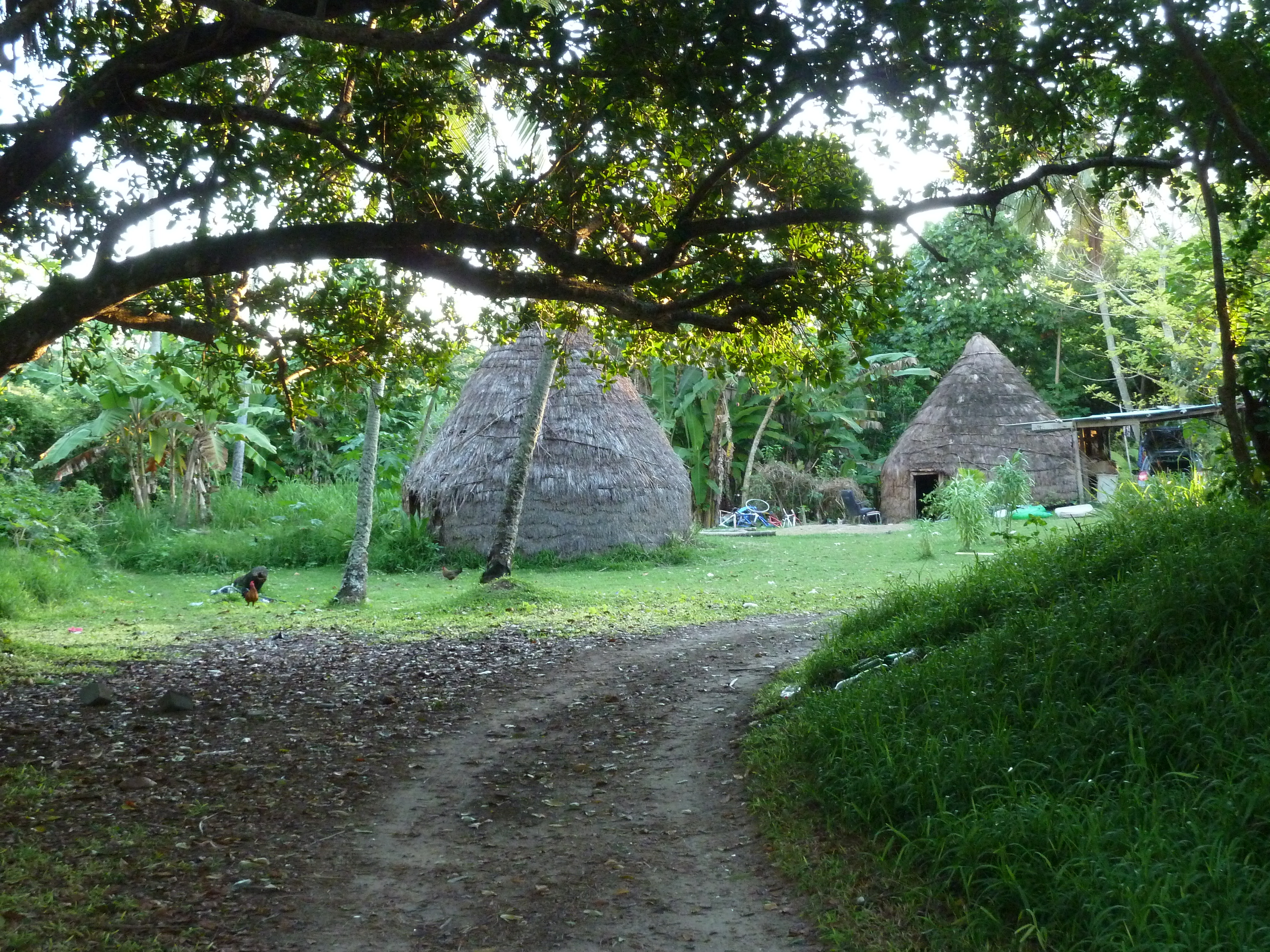 Picture New Caledonia Lifou We 2010-05 25 - Tours We