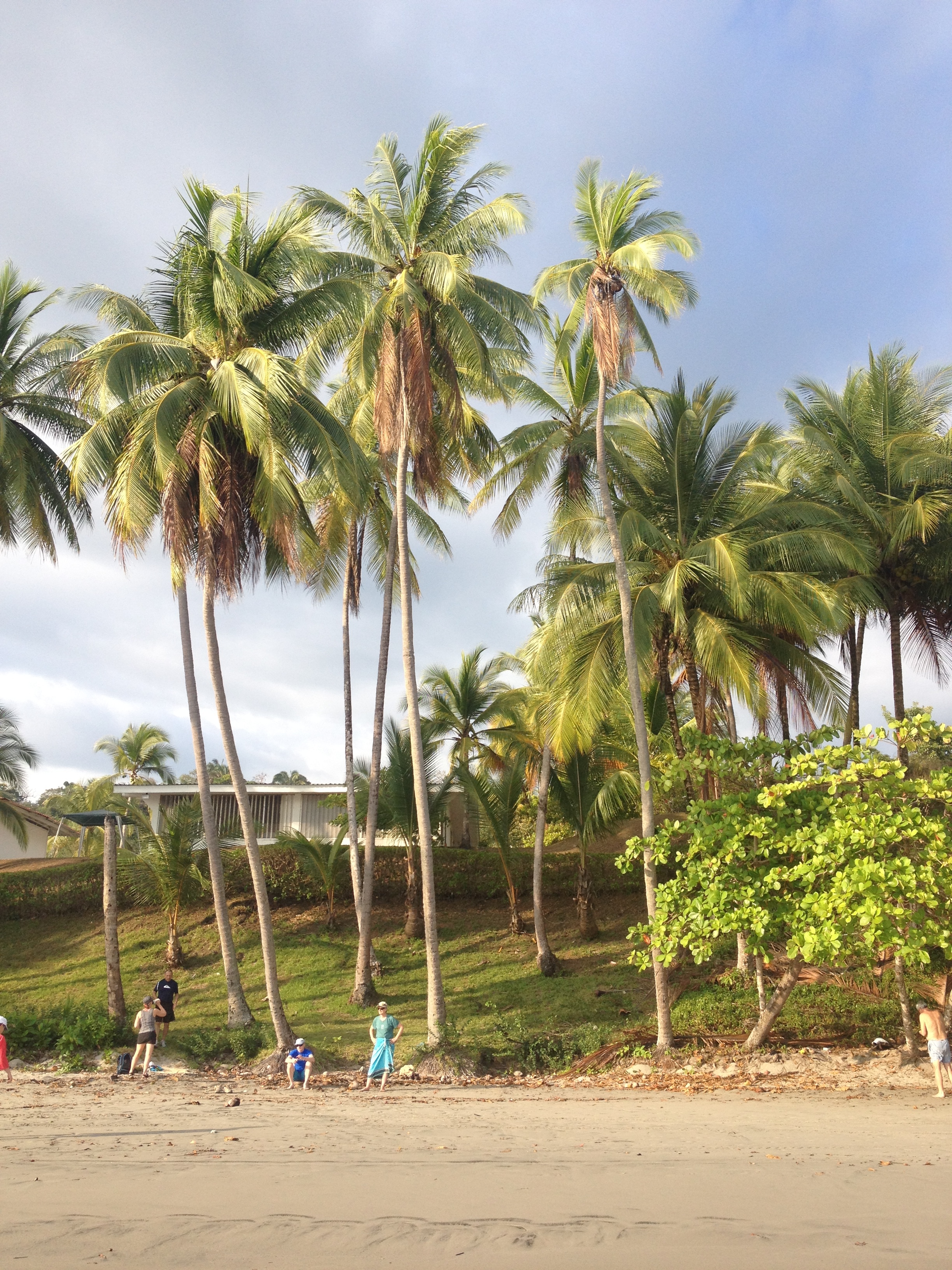 Picture Costa Rica Manuel Antonio 2015-03 161 - History Manuel Antonio