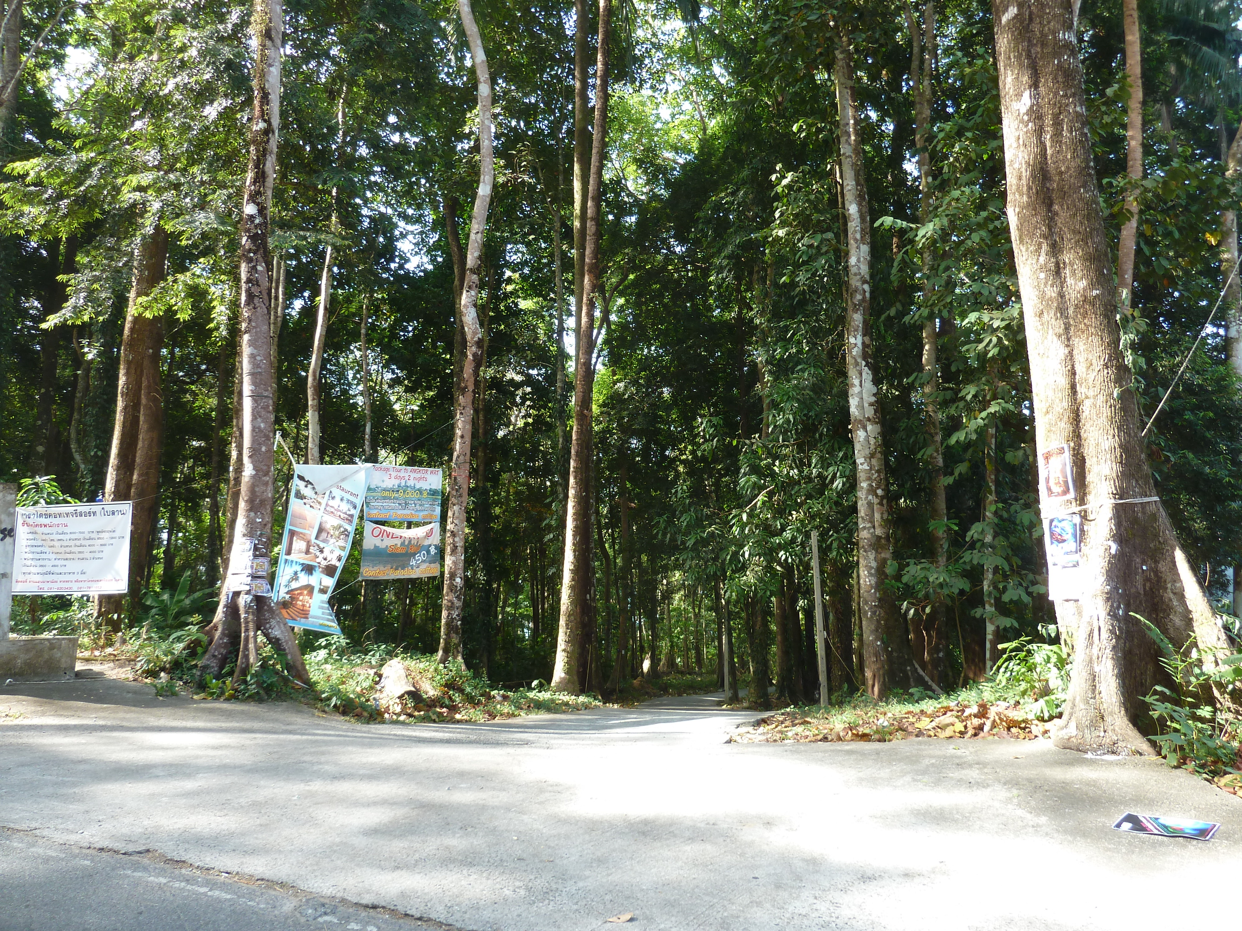 Picture Thailand Ko Chang 2011-12 126 - Tour Ko Chang