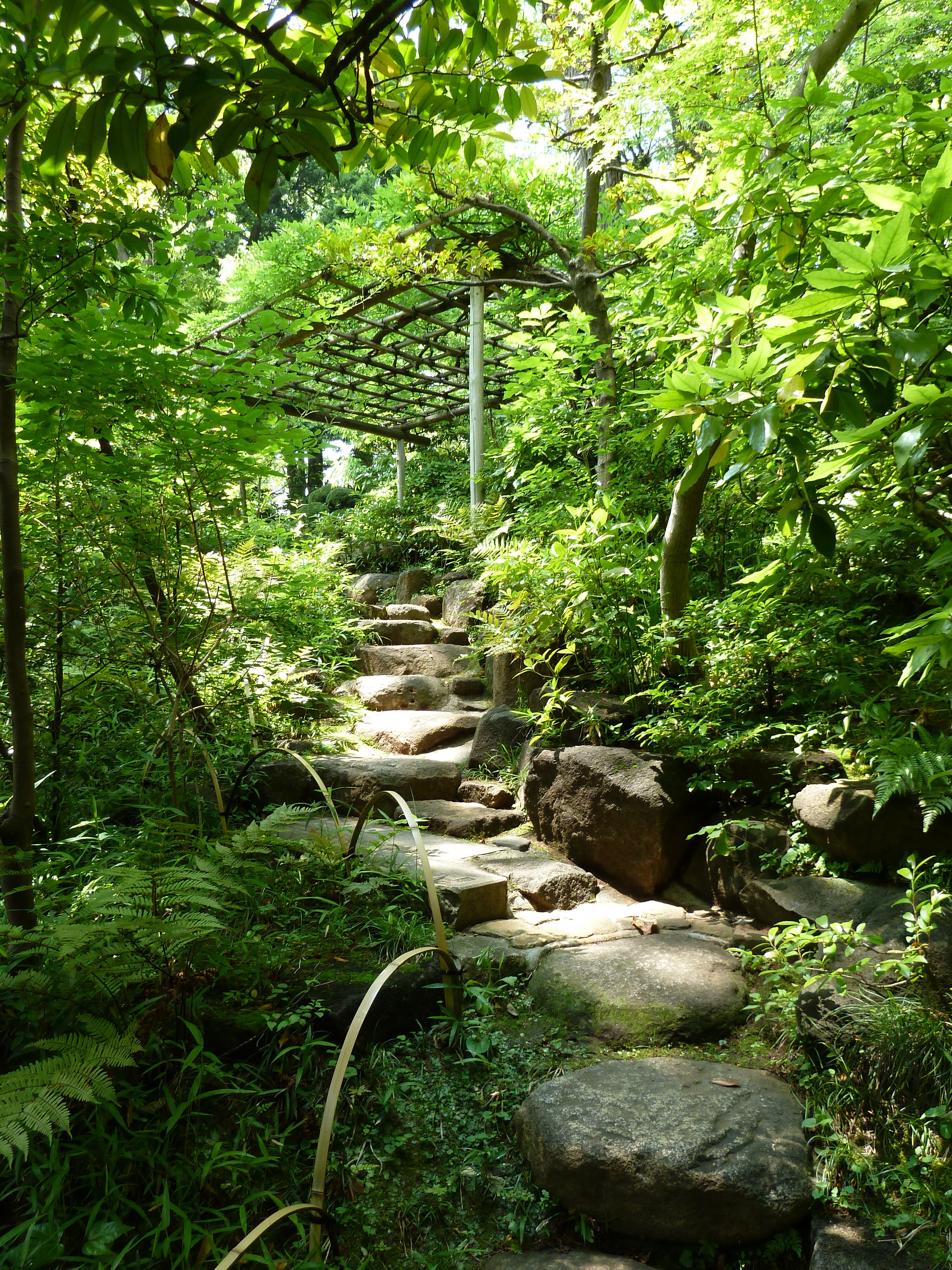 Picture Japan Tokyo Nezu Museum 2010-06 59 - Around Nezu Museum