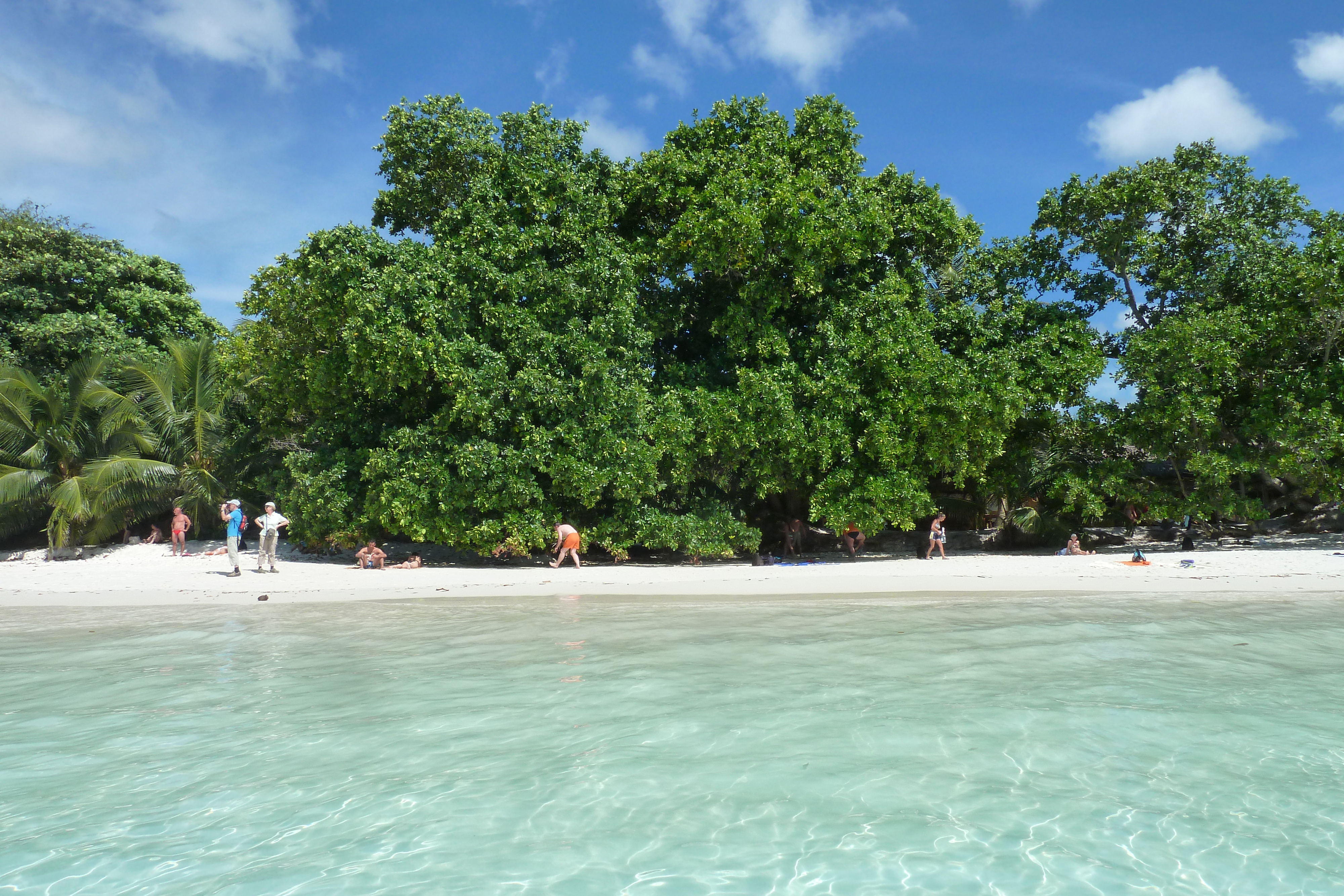 Picture Seychelles Anse Lazio 2011-10 6 - Discovery Anse Lazio