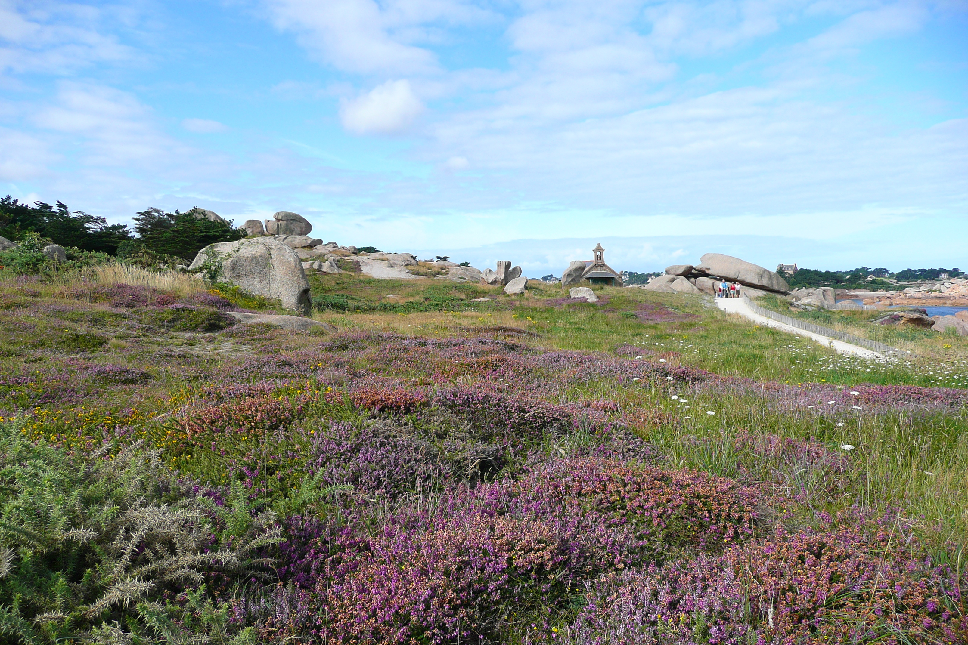 Picture France Perros Guirec Cote de granite rose 2007-08 27 - Center Cote de granite rose