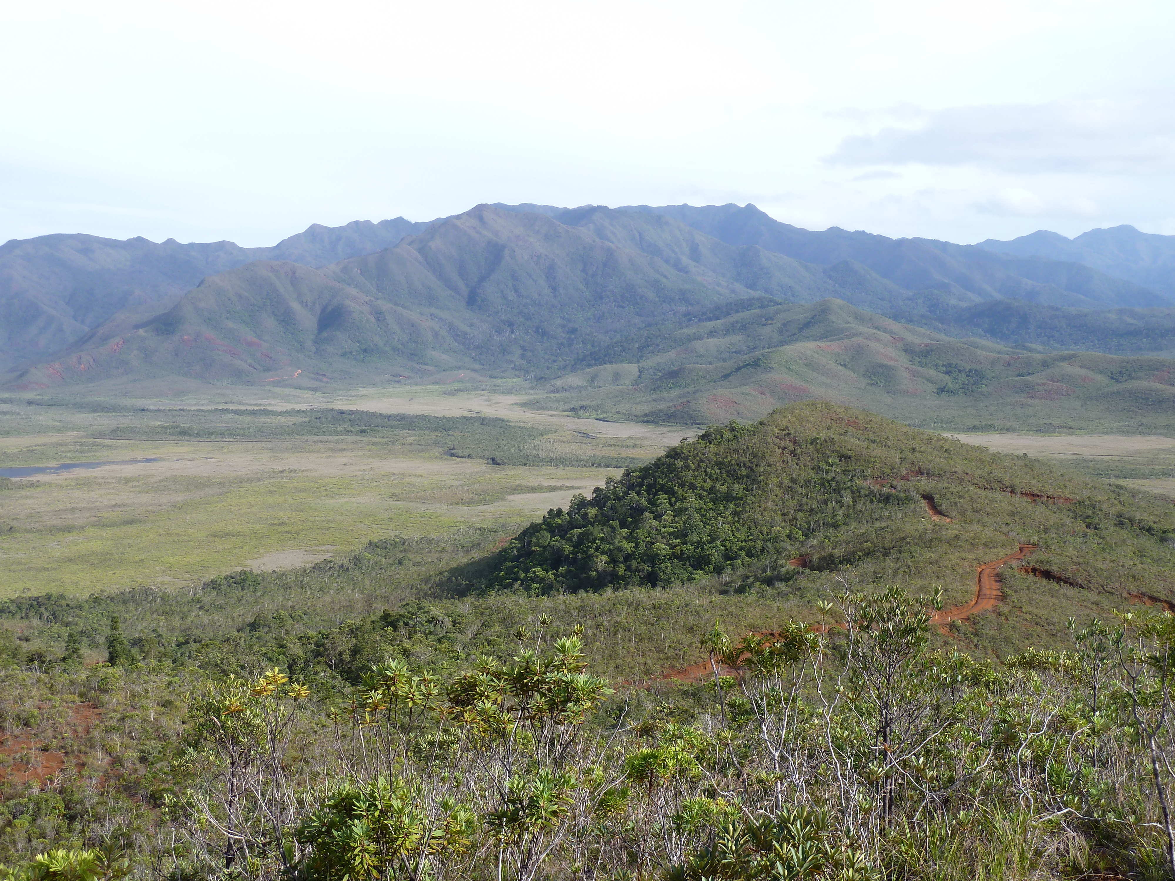 Picture New Caledonia Parc de la Riviere Bleue 2010-05 102 - Tour Parc de la Riviere Bleue