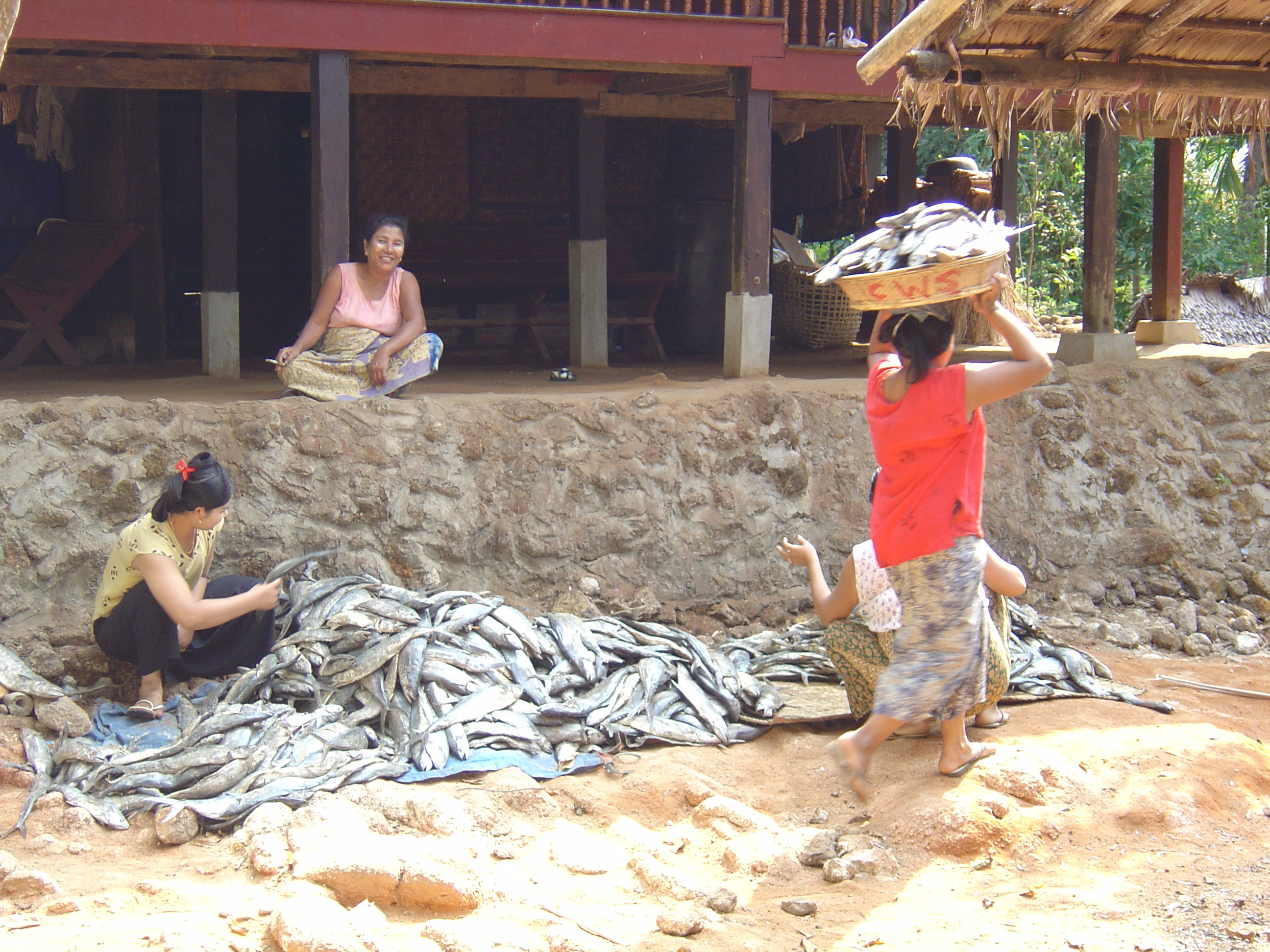 Picture Myanmar Maungmagan North 2005-01 39 - Discovery Maungmagan North