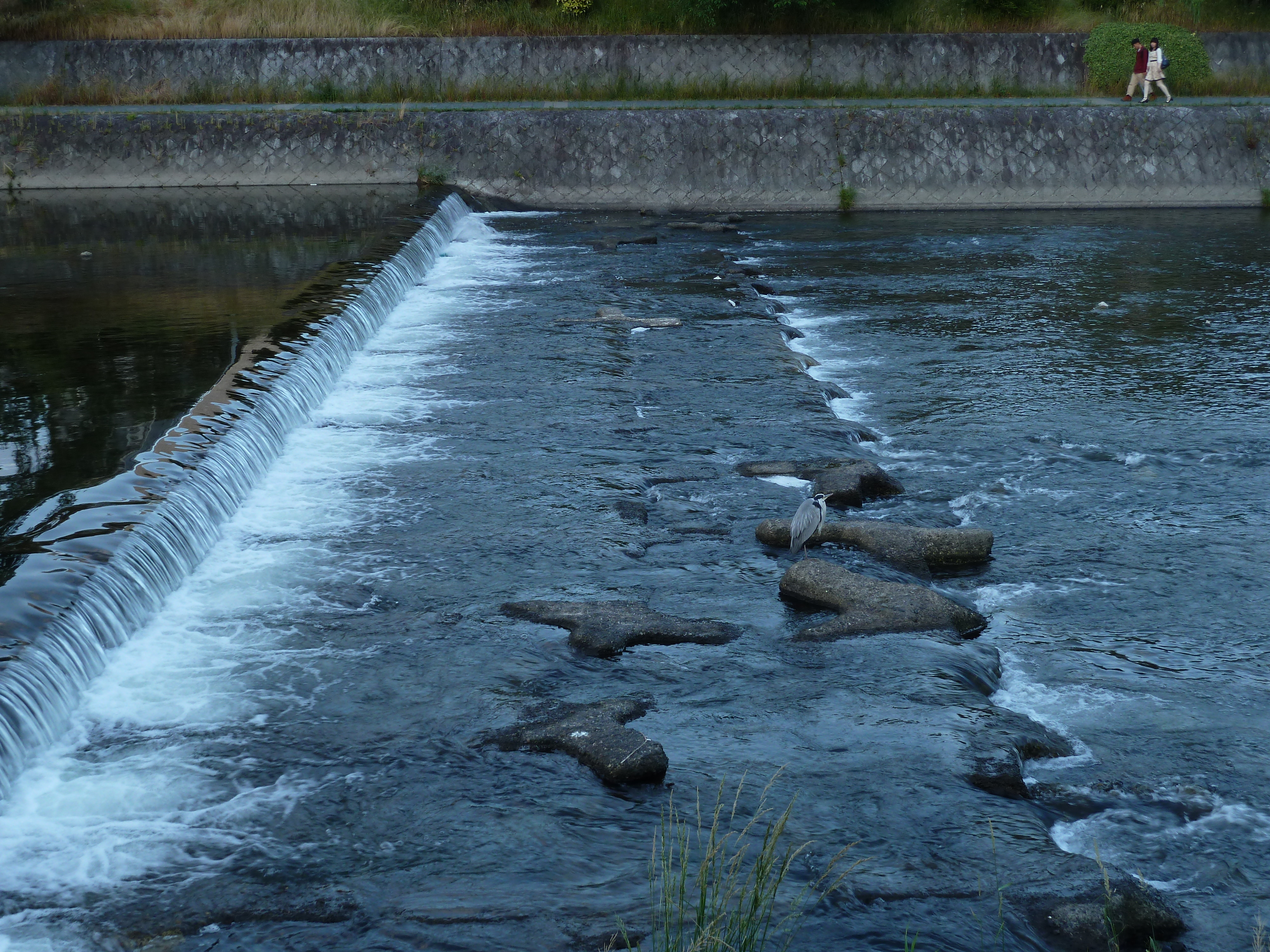 Picture Japan Kyoto Kamo River 2010-06 11 - History Kamo River