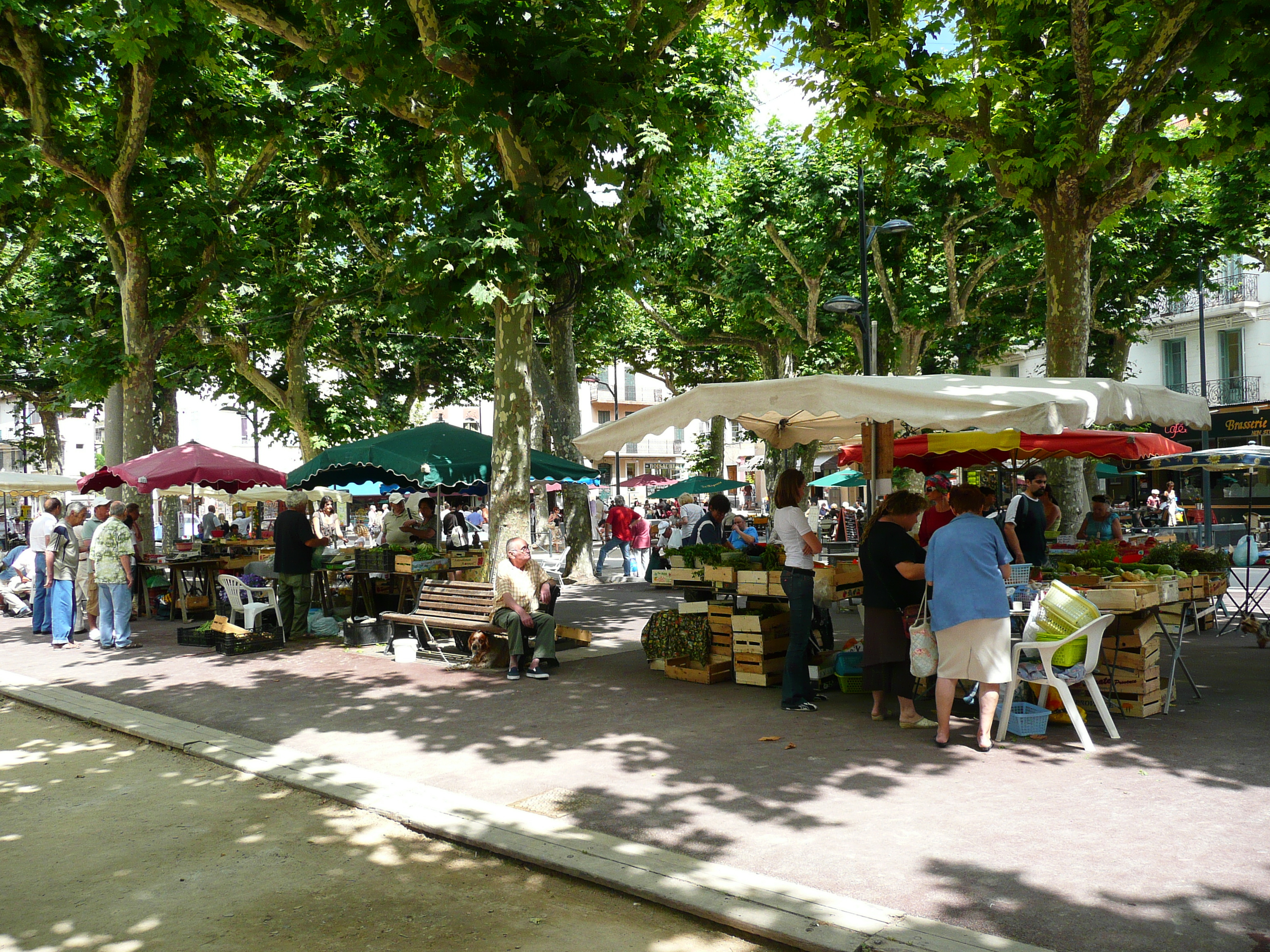 Picture France Vence Place du Grand Jardin 2007-07 27 - Discovery Place du Grand Jardin