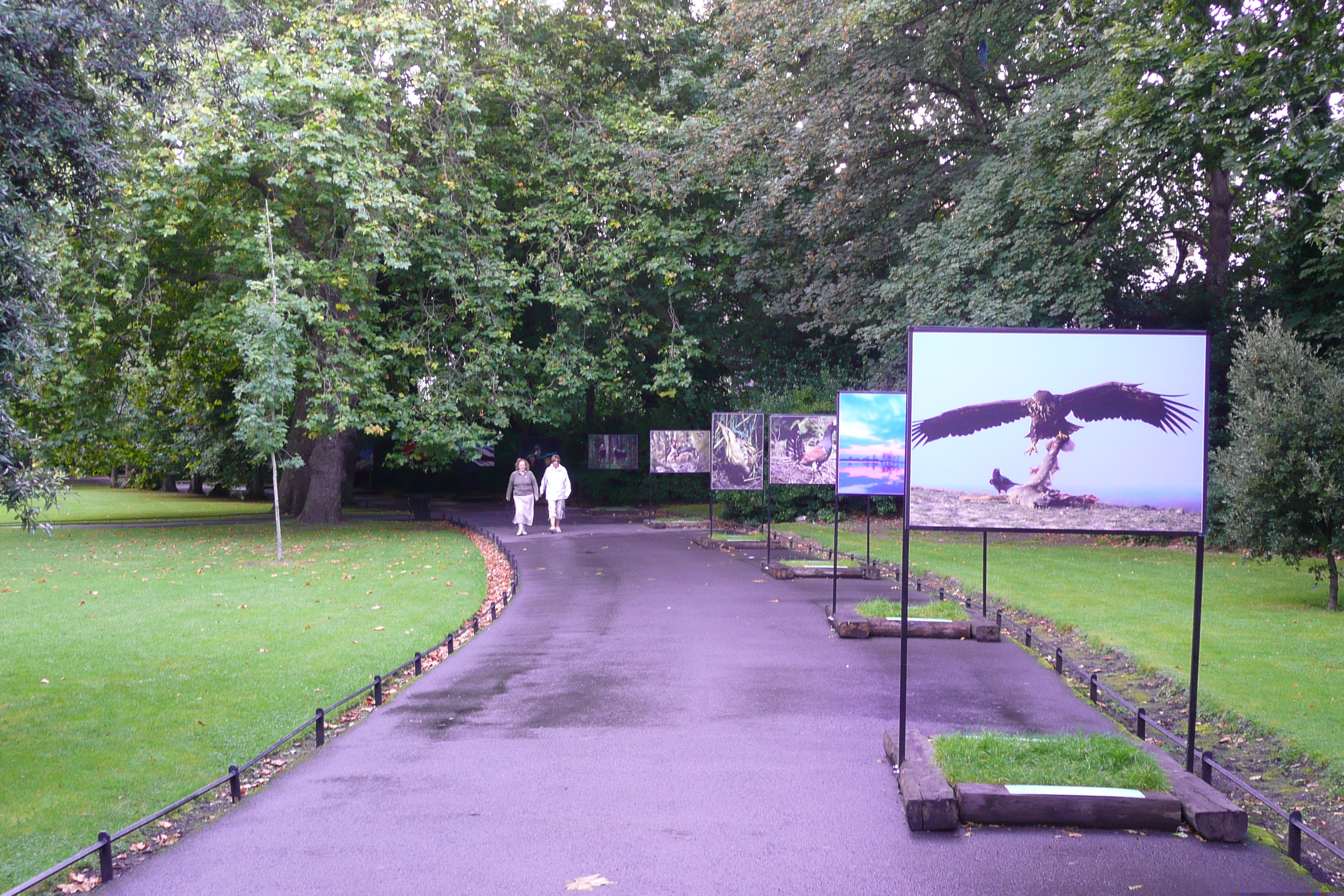 Picture Ireland Dublin St. Stephen's Green 2008-09 19 - Recreation St. Stephen's Green