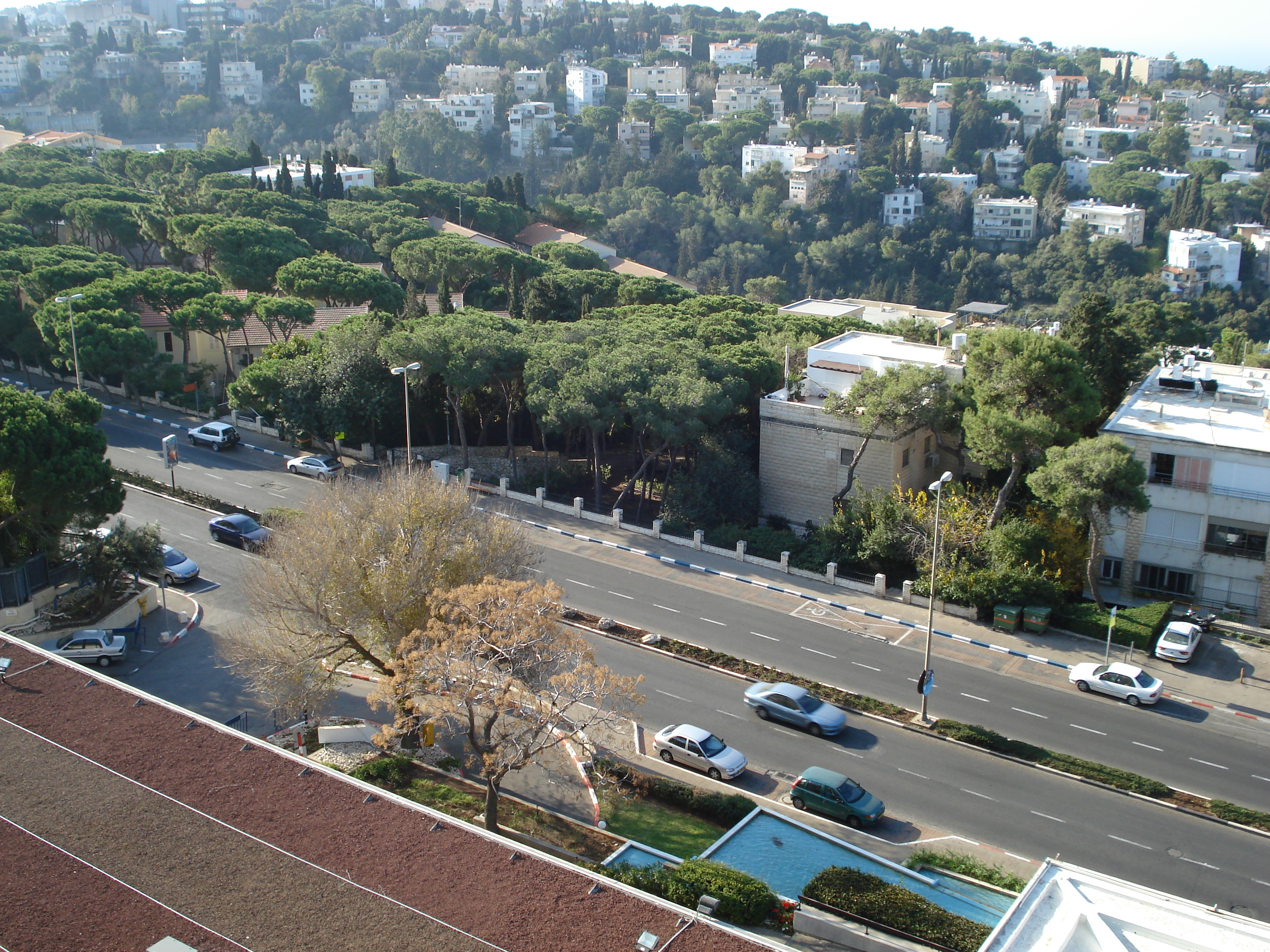 Picture Israel Haifa Dan Carmel Hotel 2006-12 6 - Discovery Dan Carmel Hotel