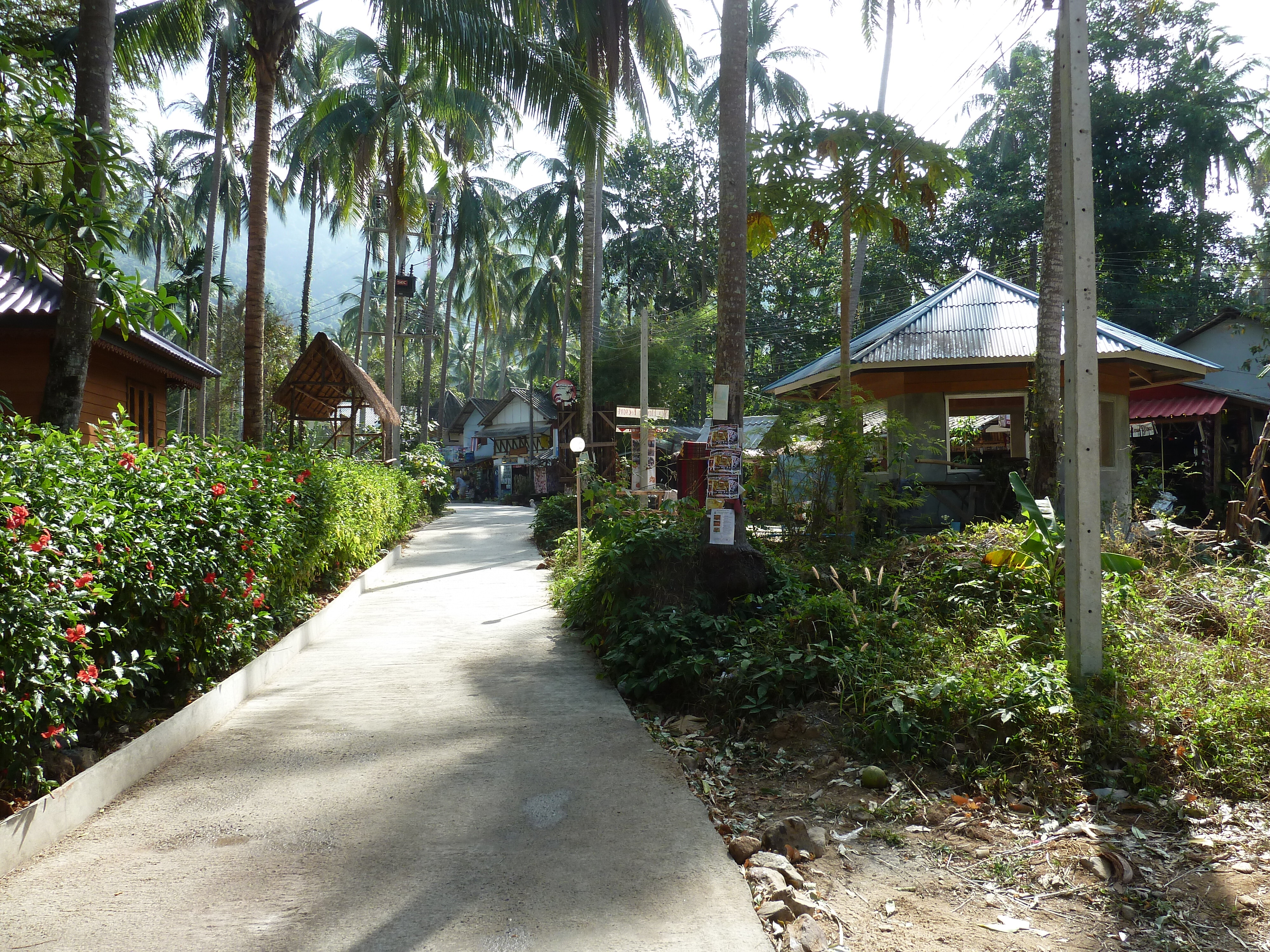 Picture Thailand Ko Chang 2011-12 136 - Around Ko Chang