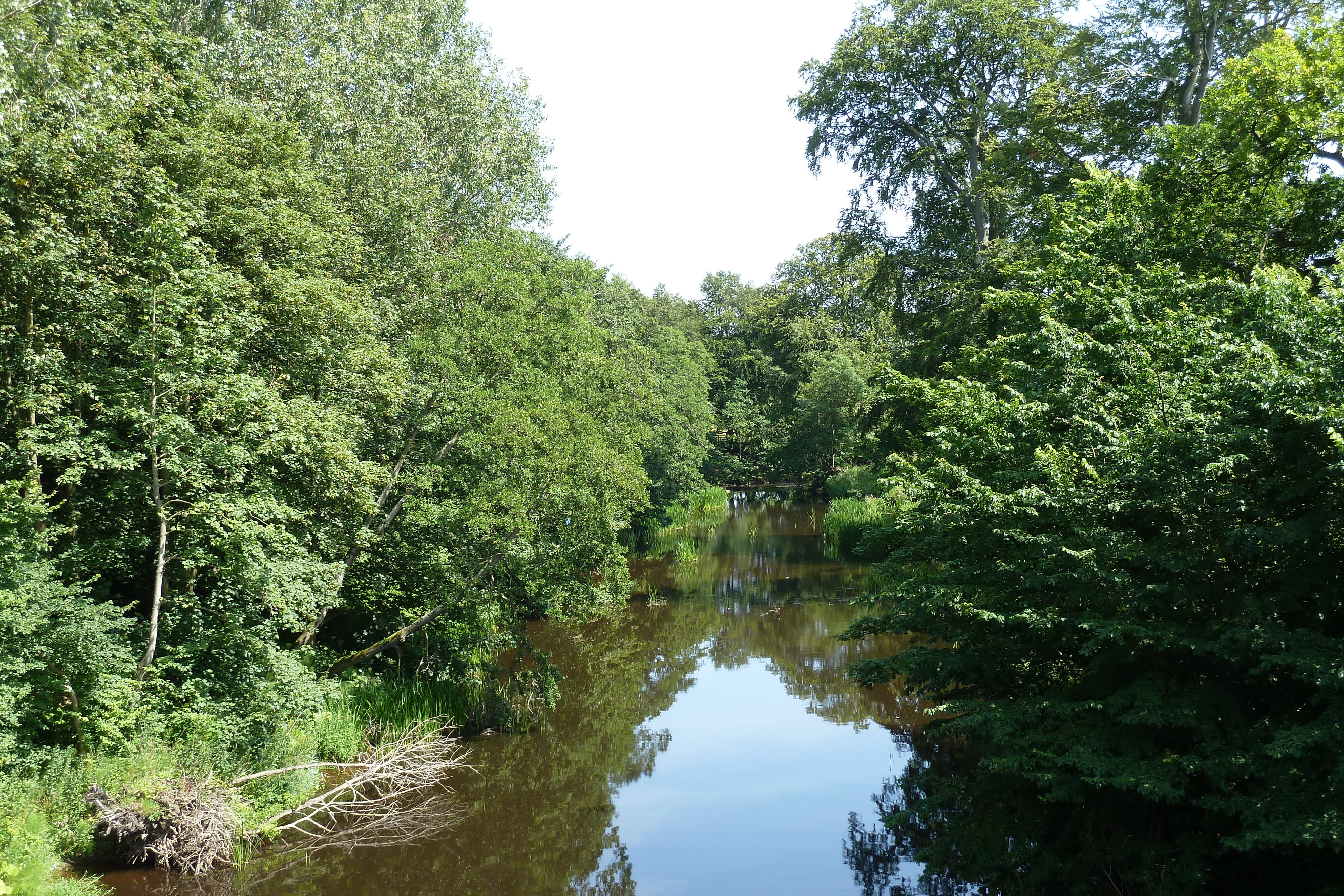 Picture United Kingdom Scotland Alnwick 2011-07 20 - Journey Alnwick