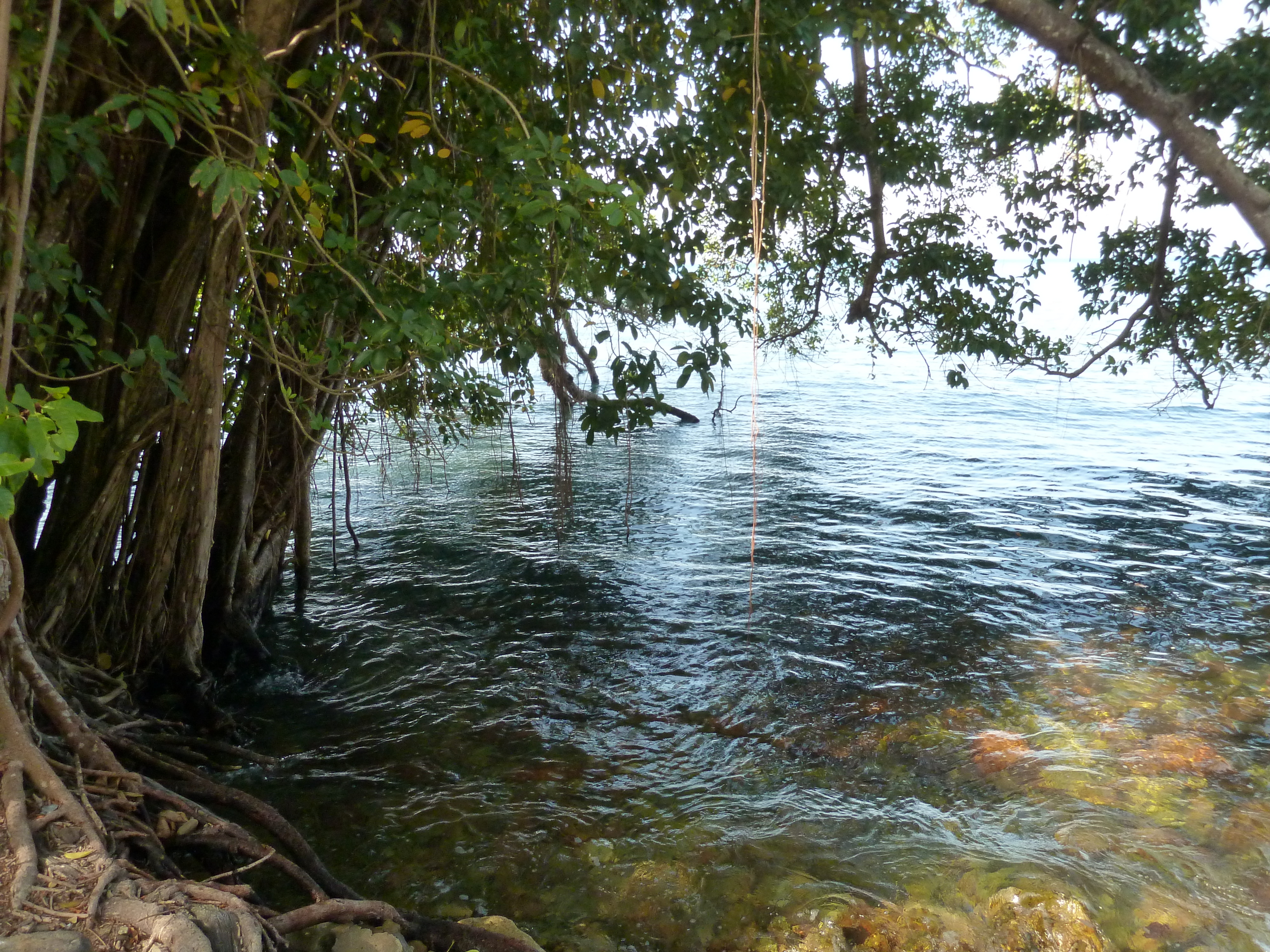 Picture Thailand Ko Chang 2011-12 15 - Tours Ko Chang