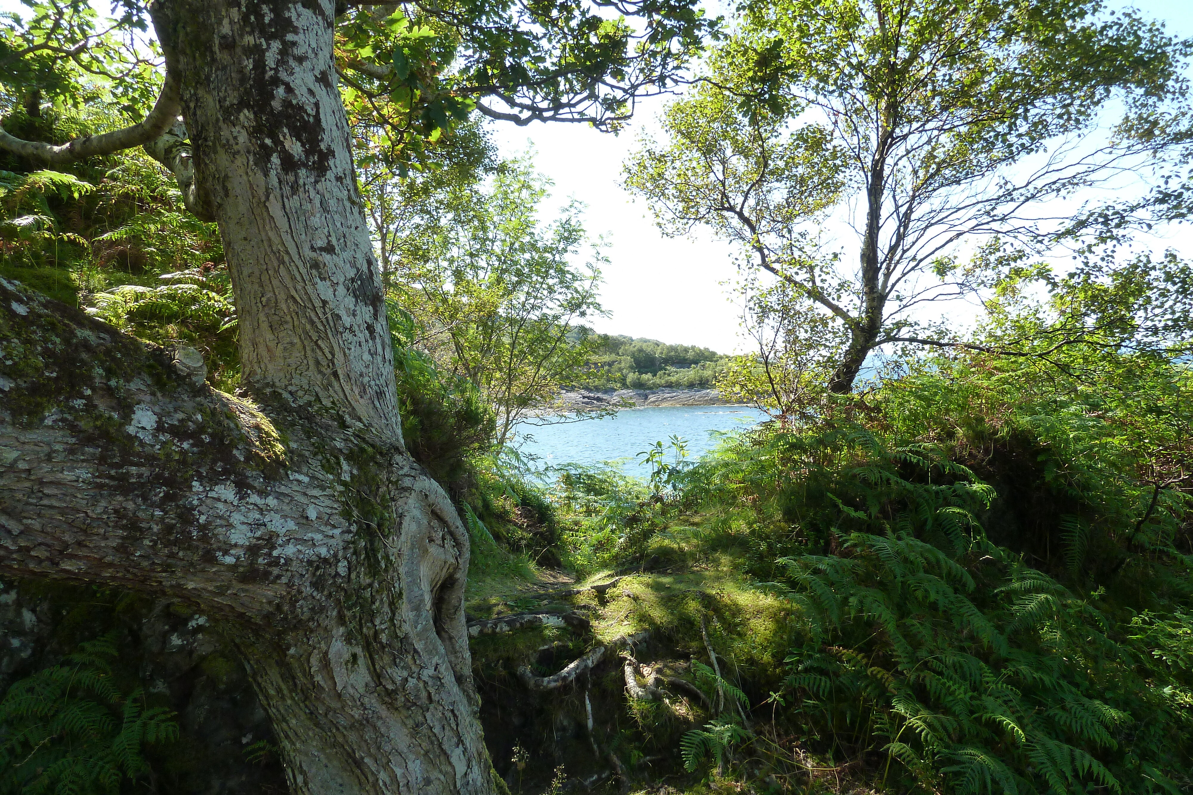 Picture United Kingdom Scotland Salen 2011-07 4 - History Salen