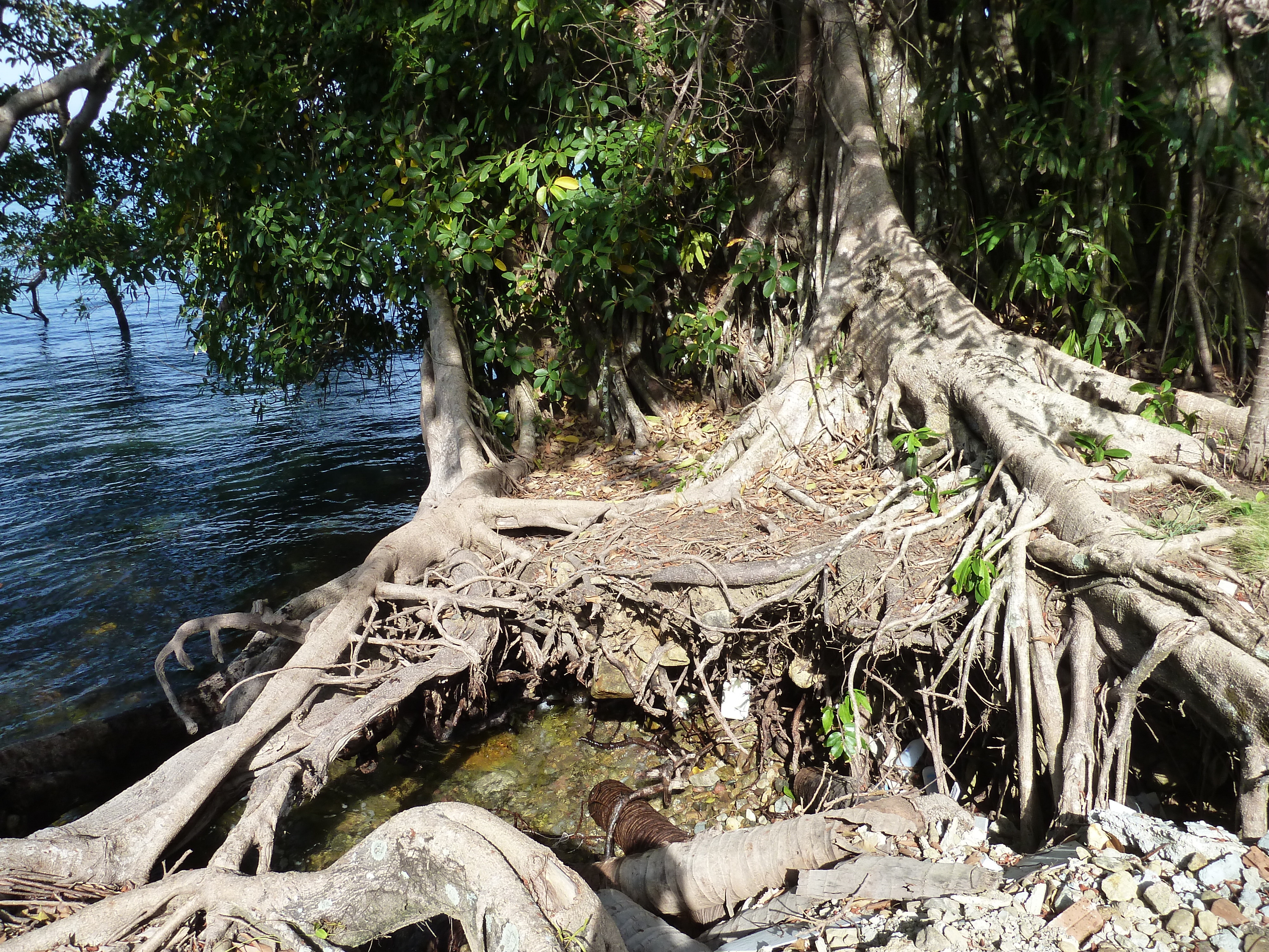 Picture Thailand Ko Chang 2011-12 0 - History Ko Chang