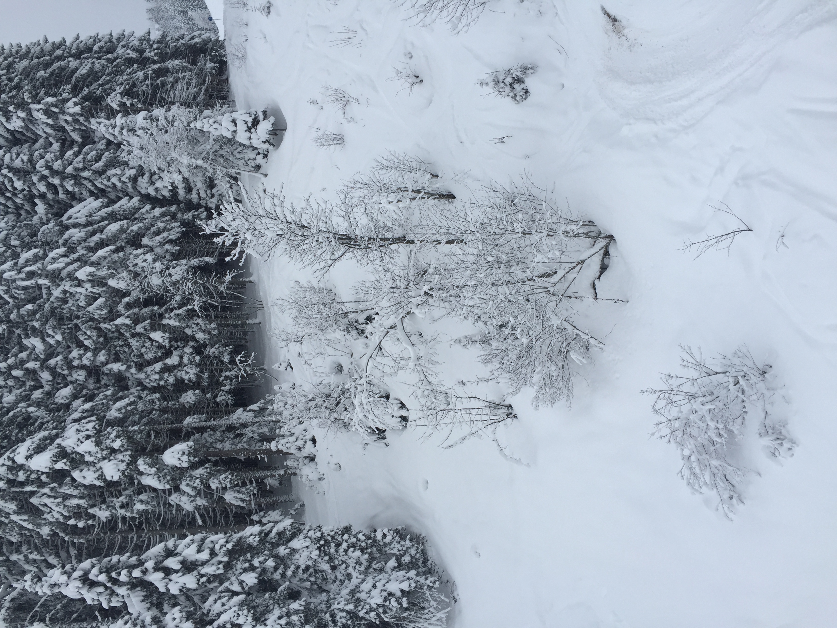 Picture France Megeve 2016-02 9 - Discovery Megeve