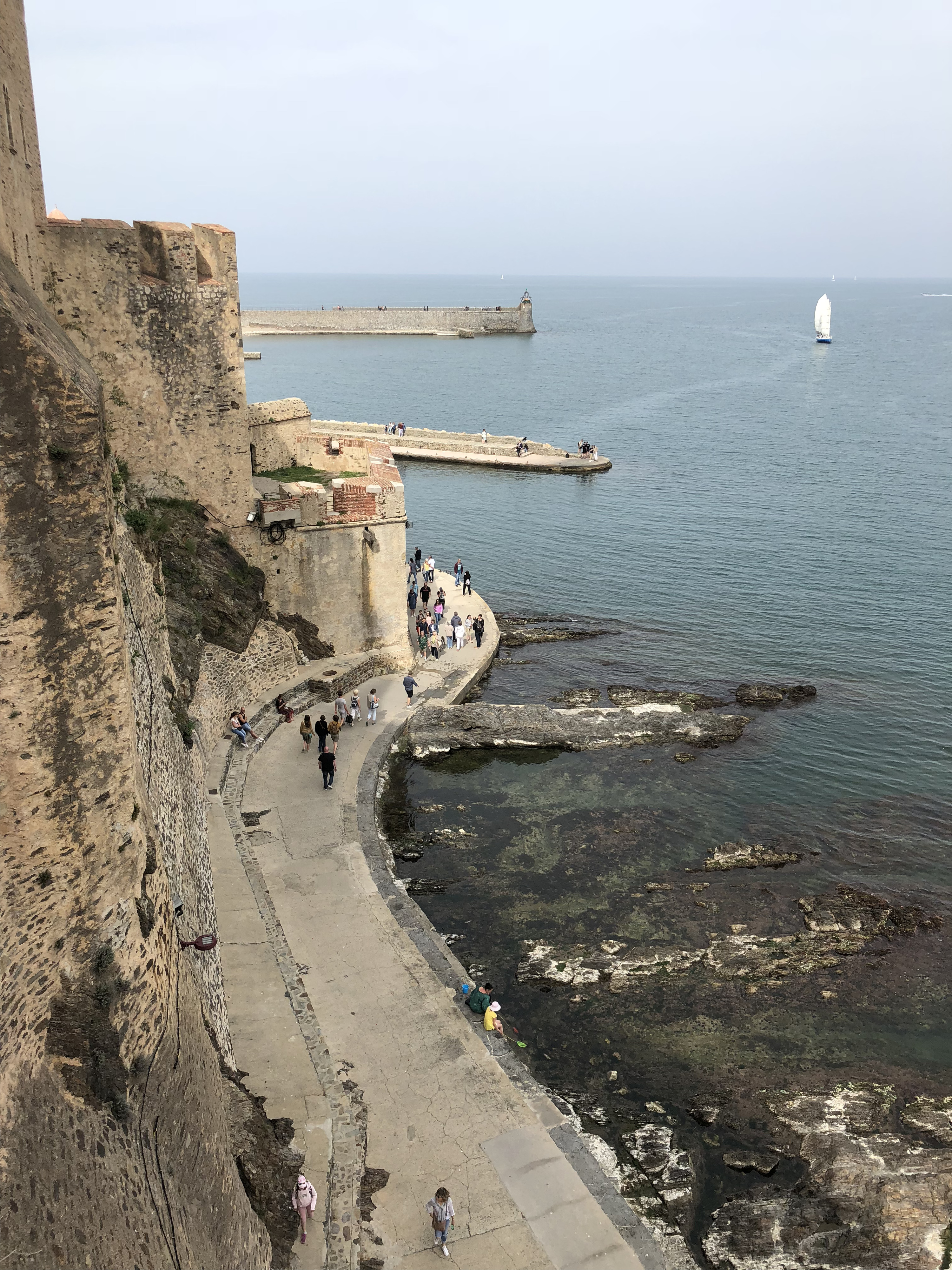 Picture France Collioure 2018-04 254 - Tour Collioure