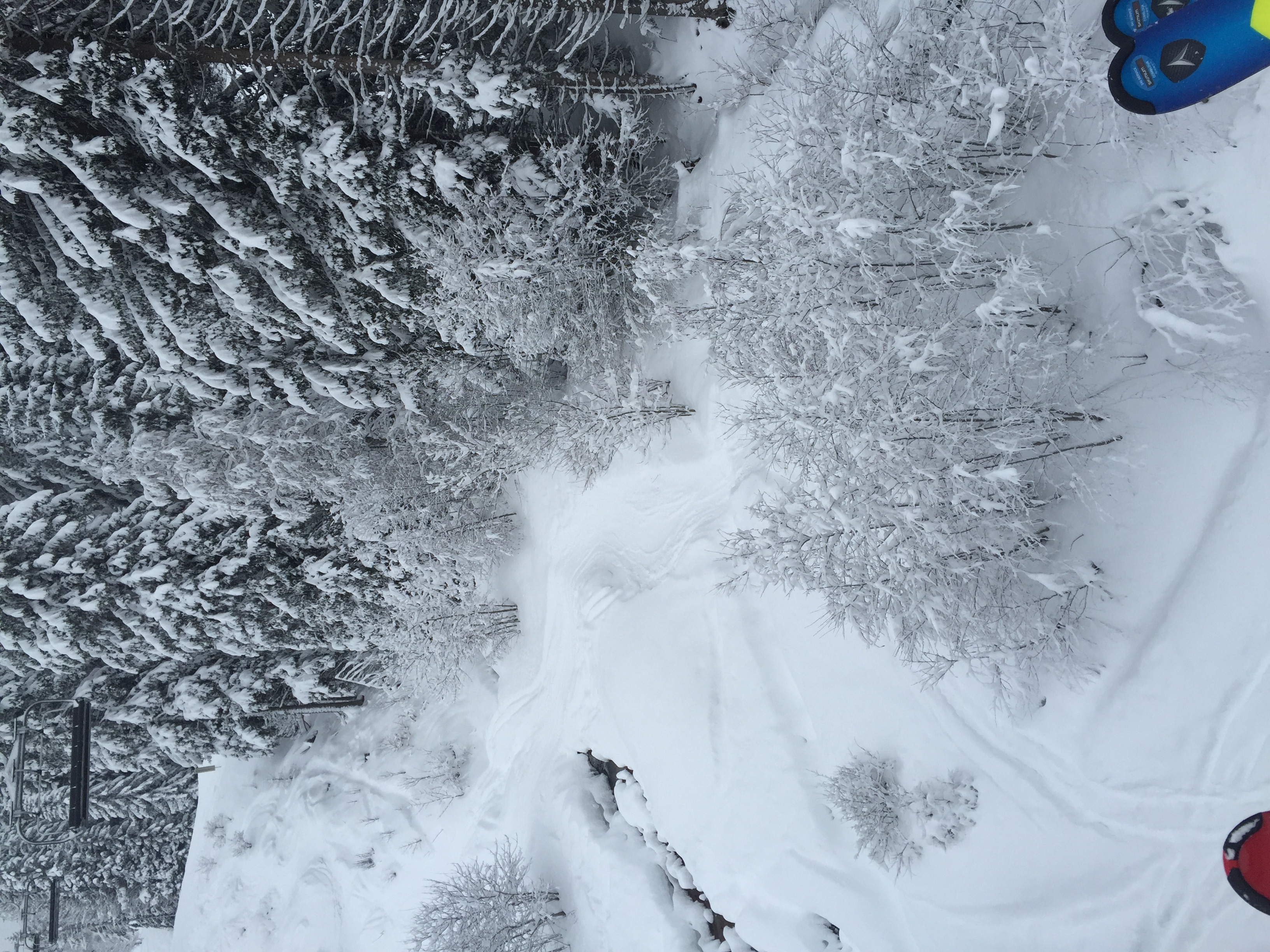 Picture France Megeve 2016-02 24 - Discovery Megeve