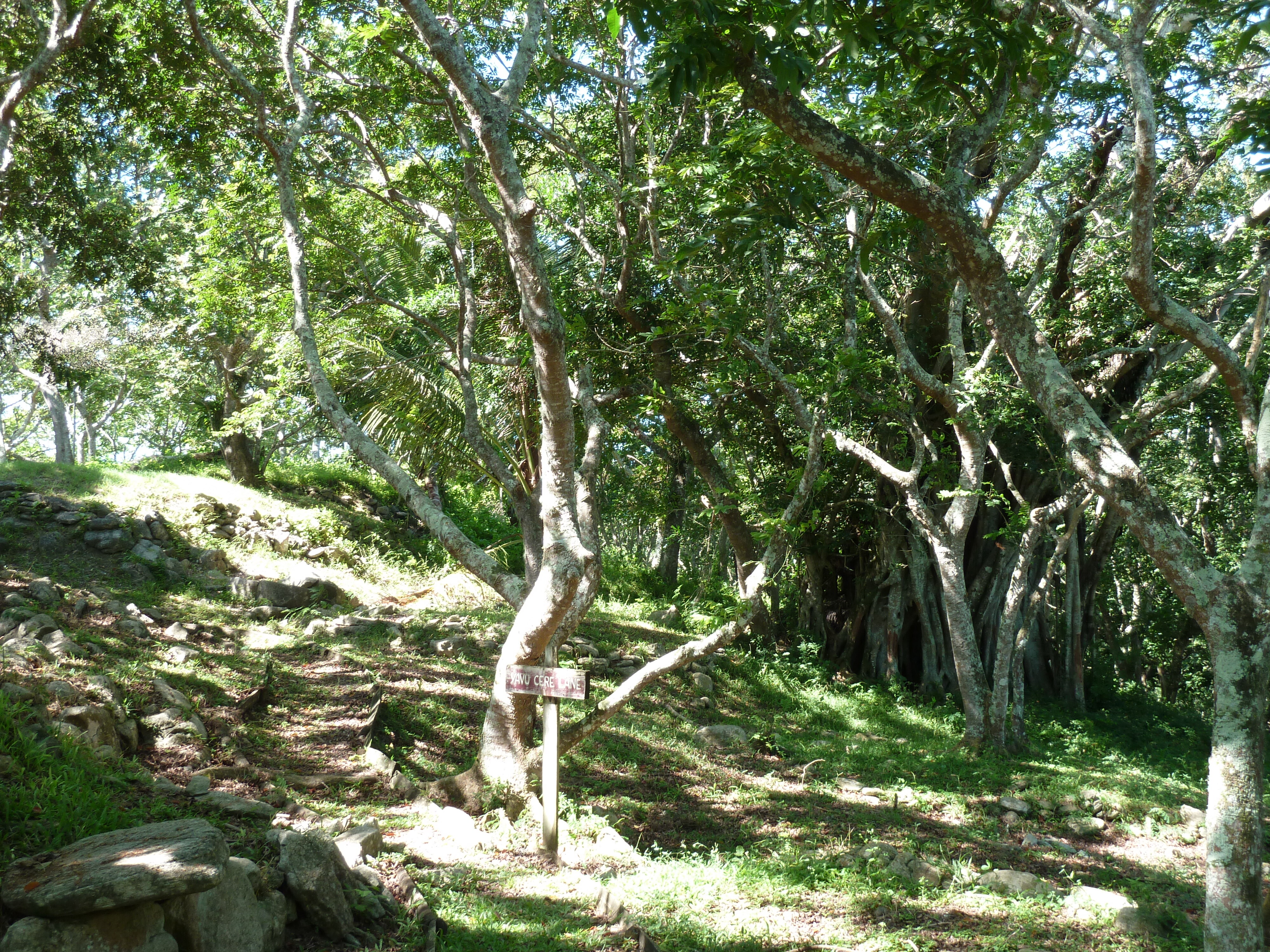 Picture Fiji Tavuni Hill Fort 2010-05 18 - Recreation Tavuni Hill Fort