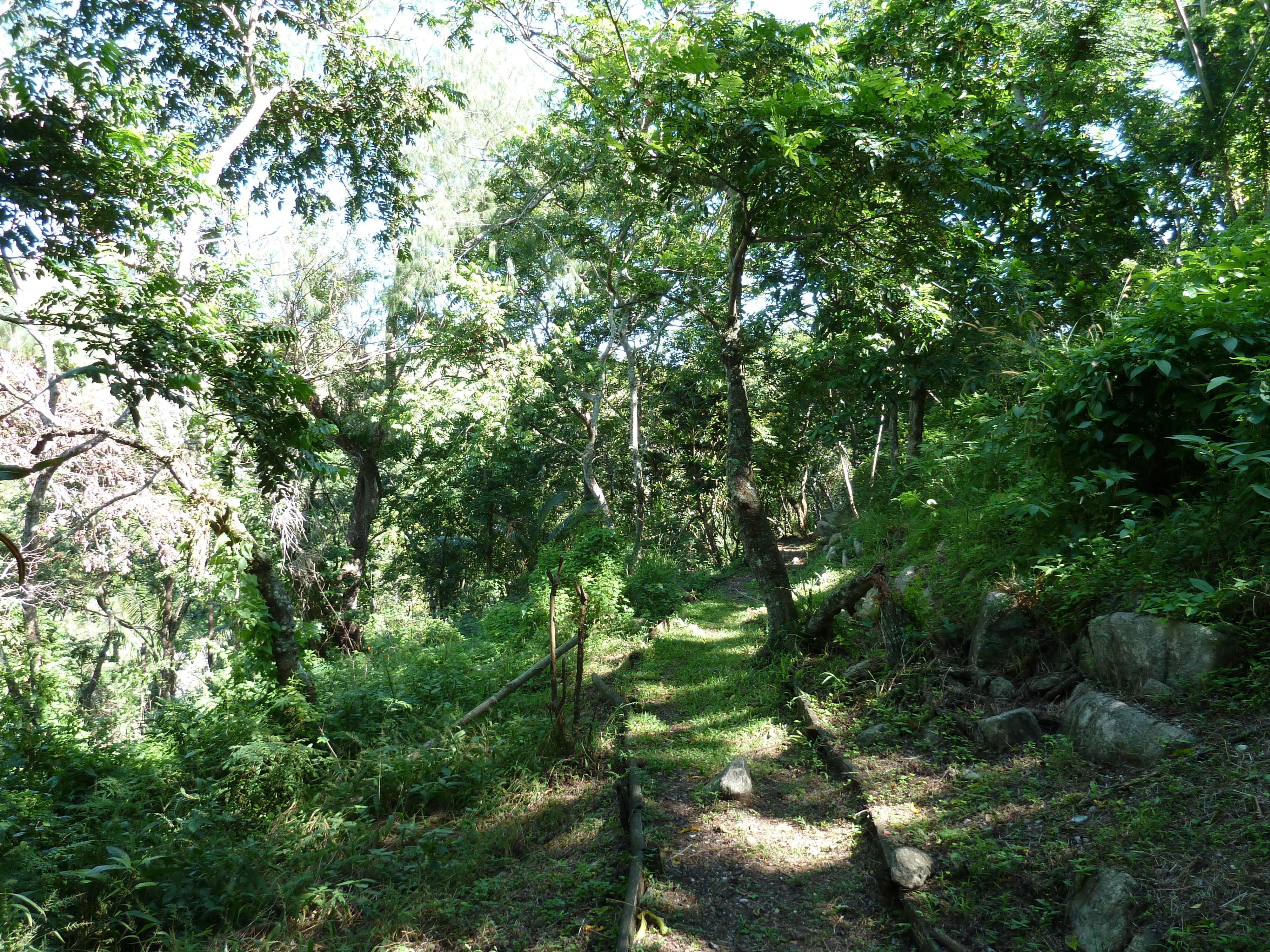 Picture Fiji Tavuni Hill Fort 2010-05 27 - Tour Tavuni Hill Fort