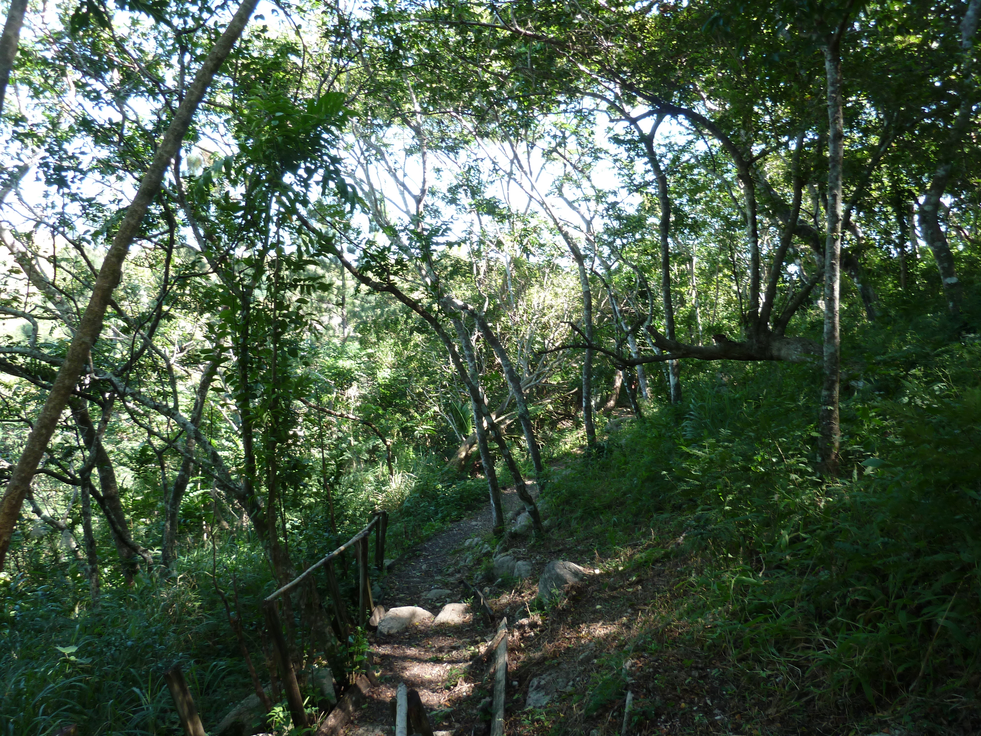 Picture Fiji Tavuni Hill Fort 2010-05 23 - Around Tavuni Hill Fort