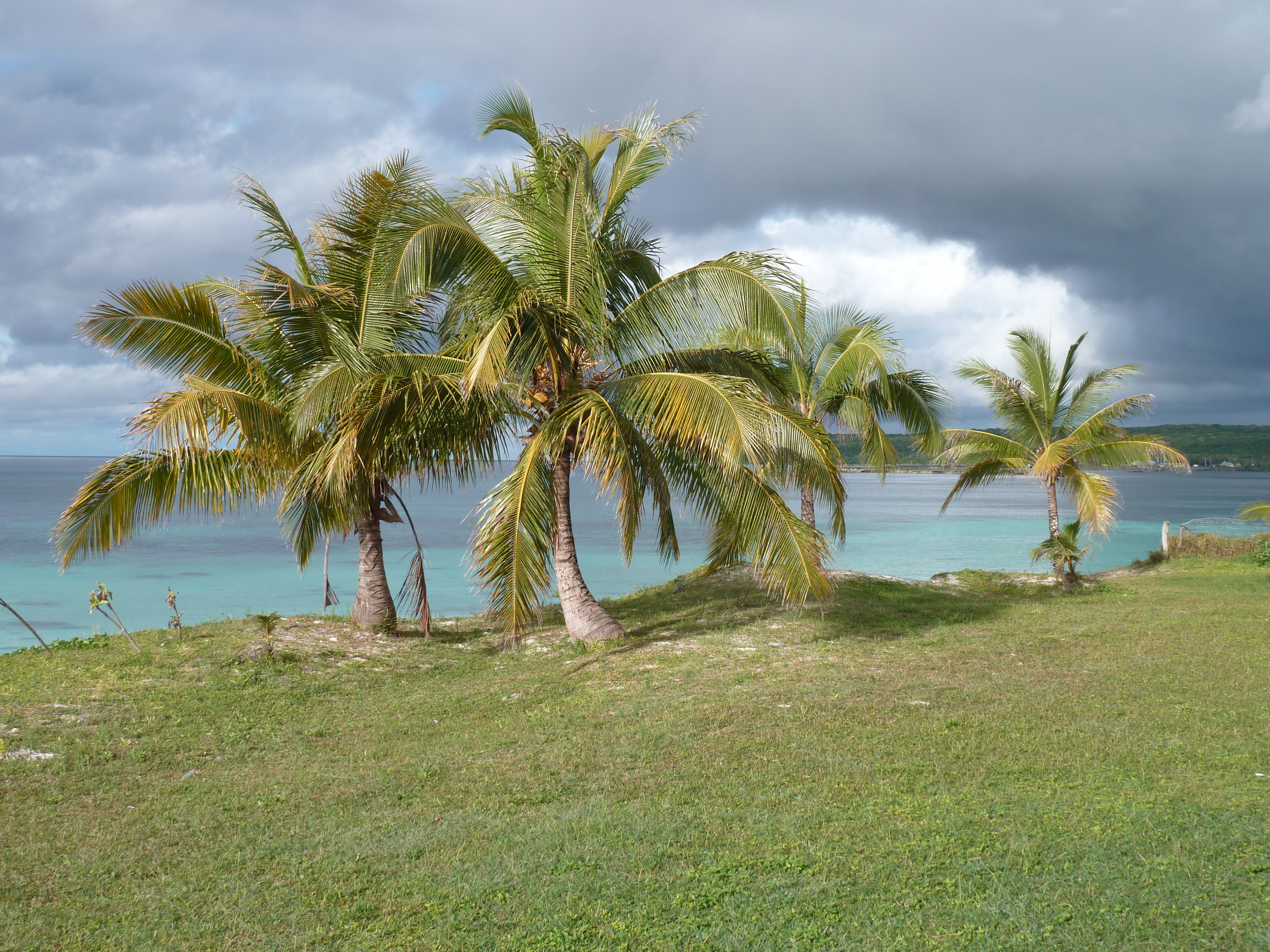 Picture New Caledonia Lifou We 2010-05 11 - Tours We