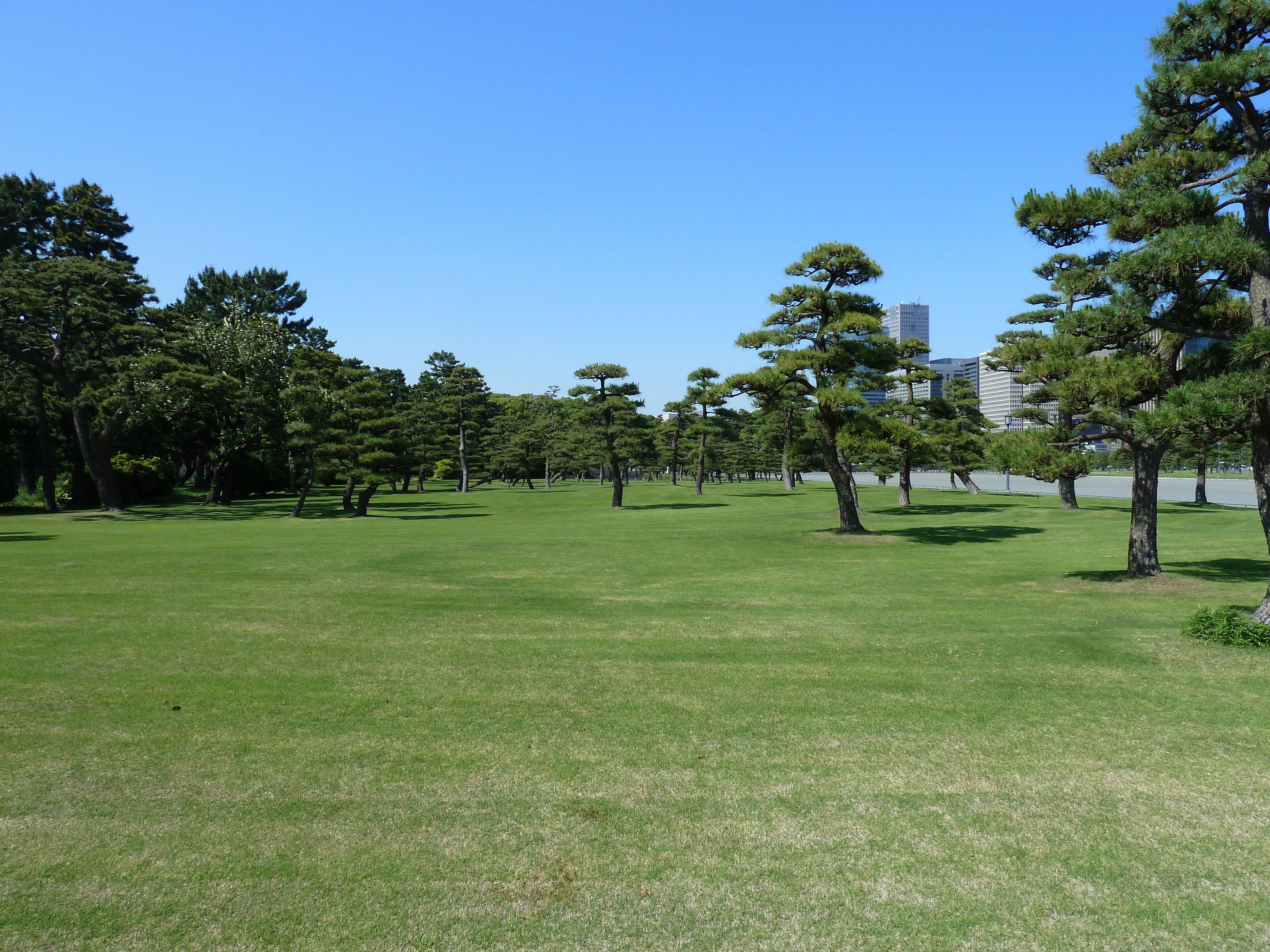 Picture Japan Tokyo Imperial Palace 2010-06 49 - Recreation Imperial Palace