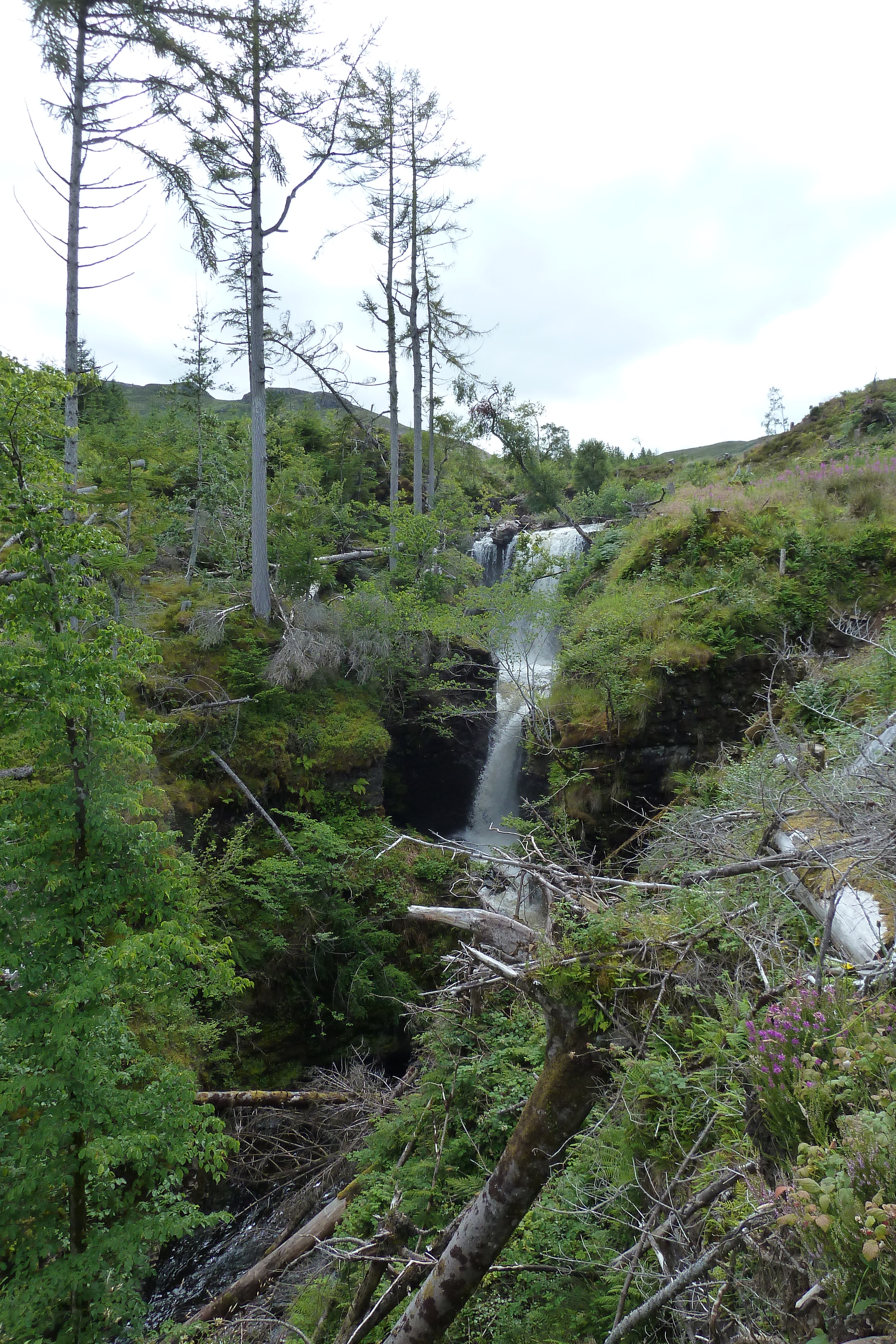 Picture United Kingdom Scotland Loch Maree 2011-07 39 - Around Loch Maree