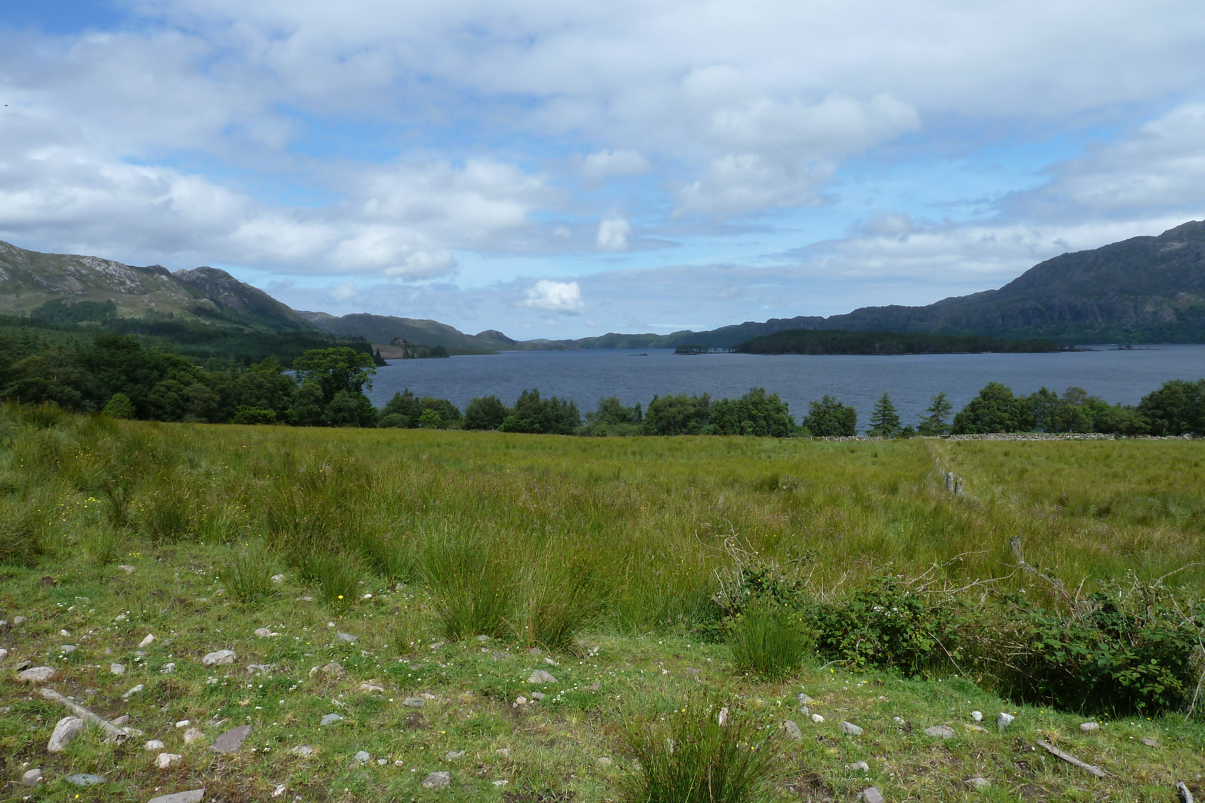 Picture United Kingdom Scotland Loch Maree 2011-07 23 - Tour Loch Maree