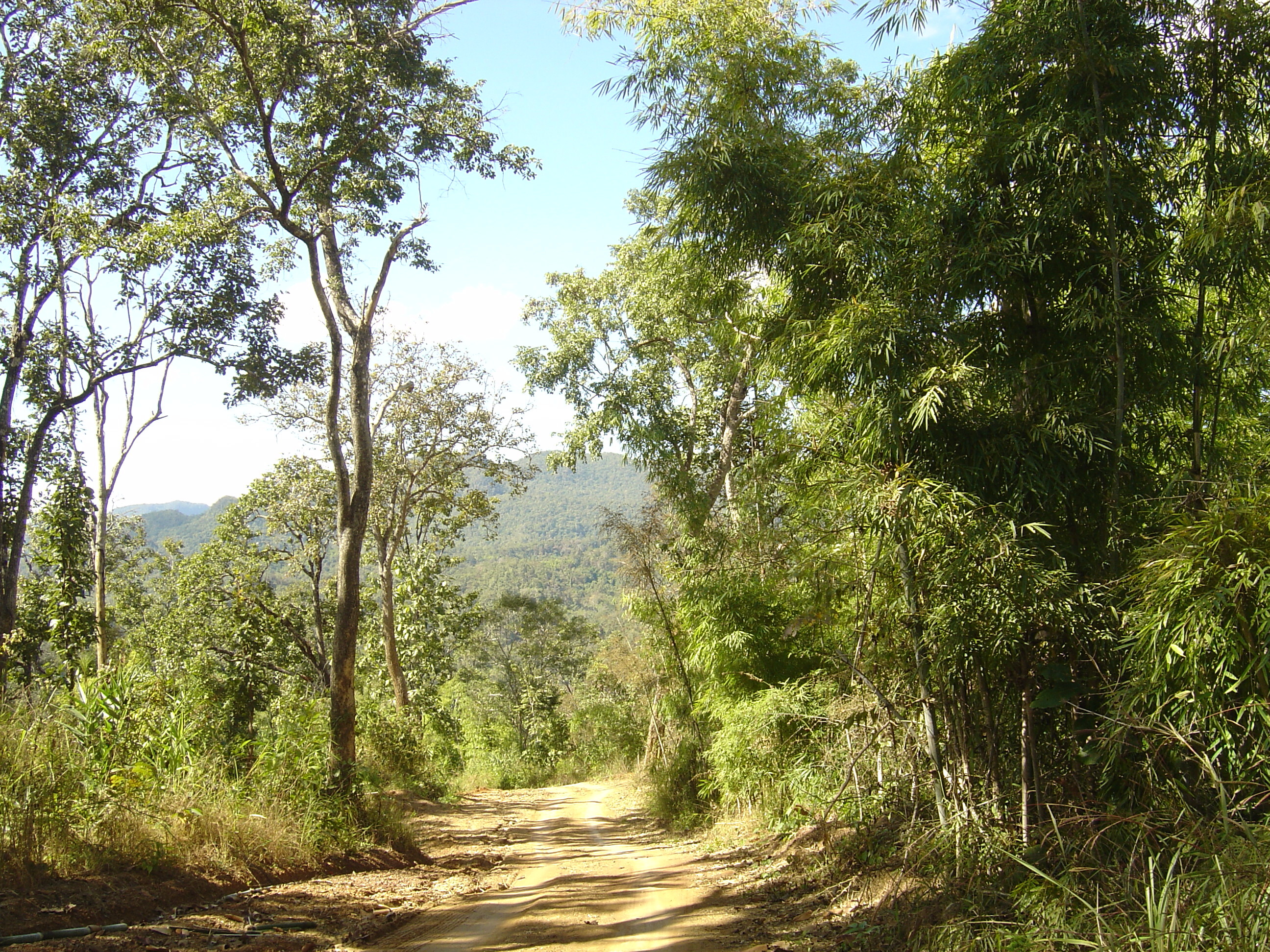 Picture Thailand Pang ma pha 2005-12 190 - Tours Pang ma pha