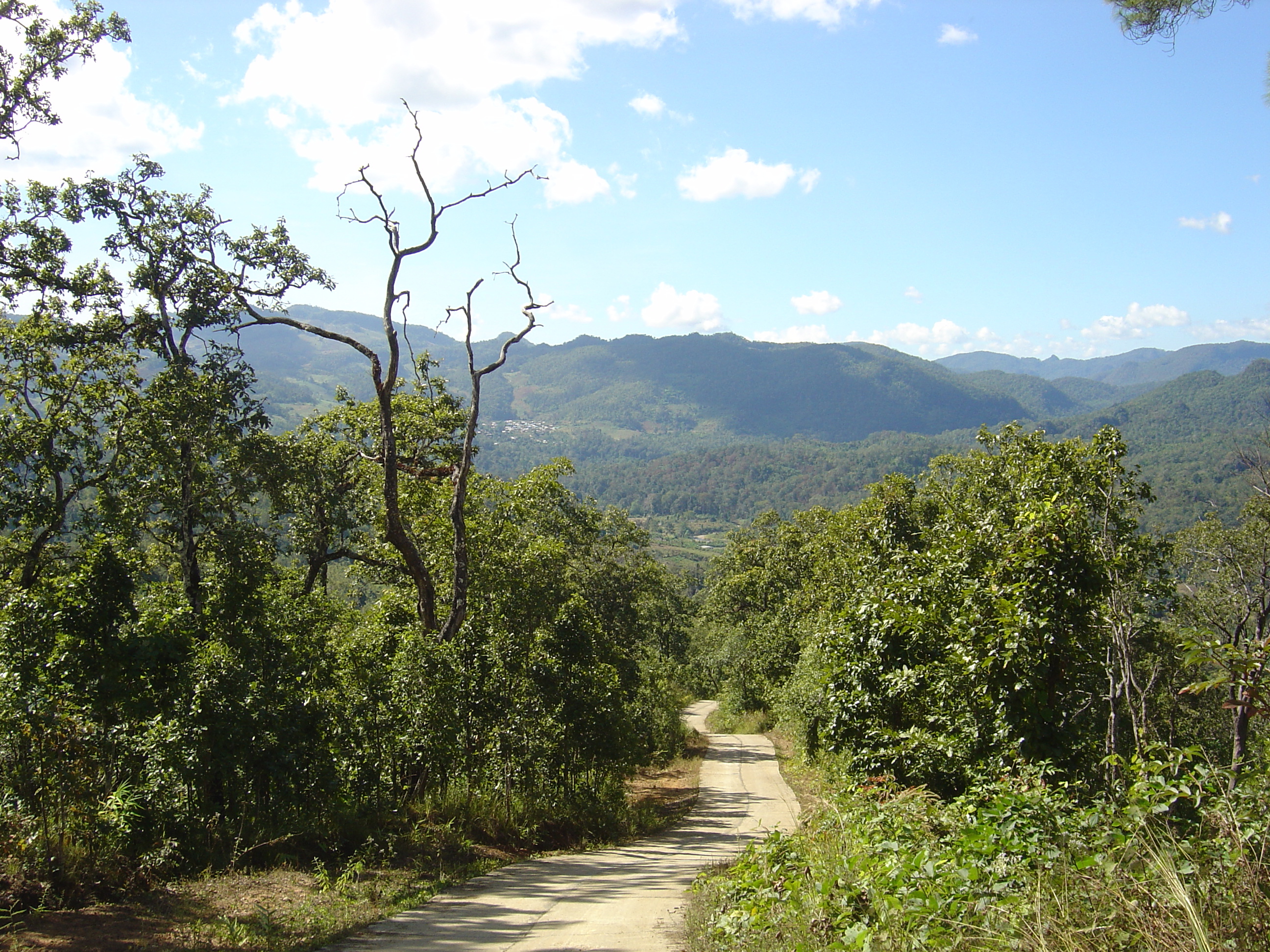 Picture Thailand Pang ma pha 2005-12 194 - Tours Pang ma pha