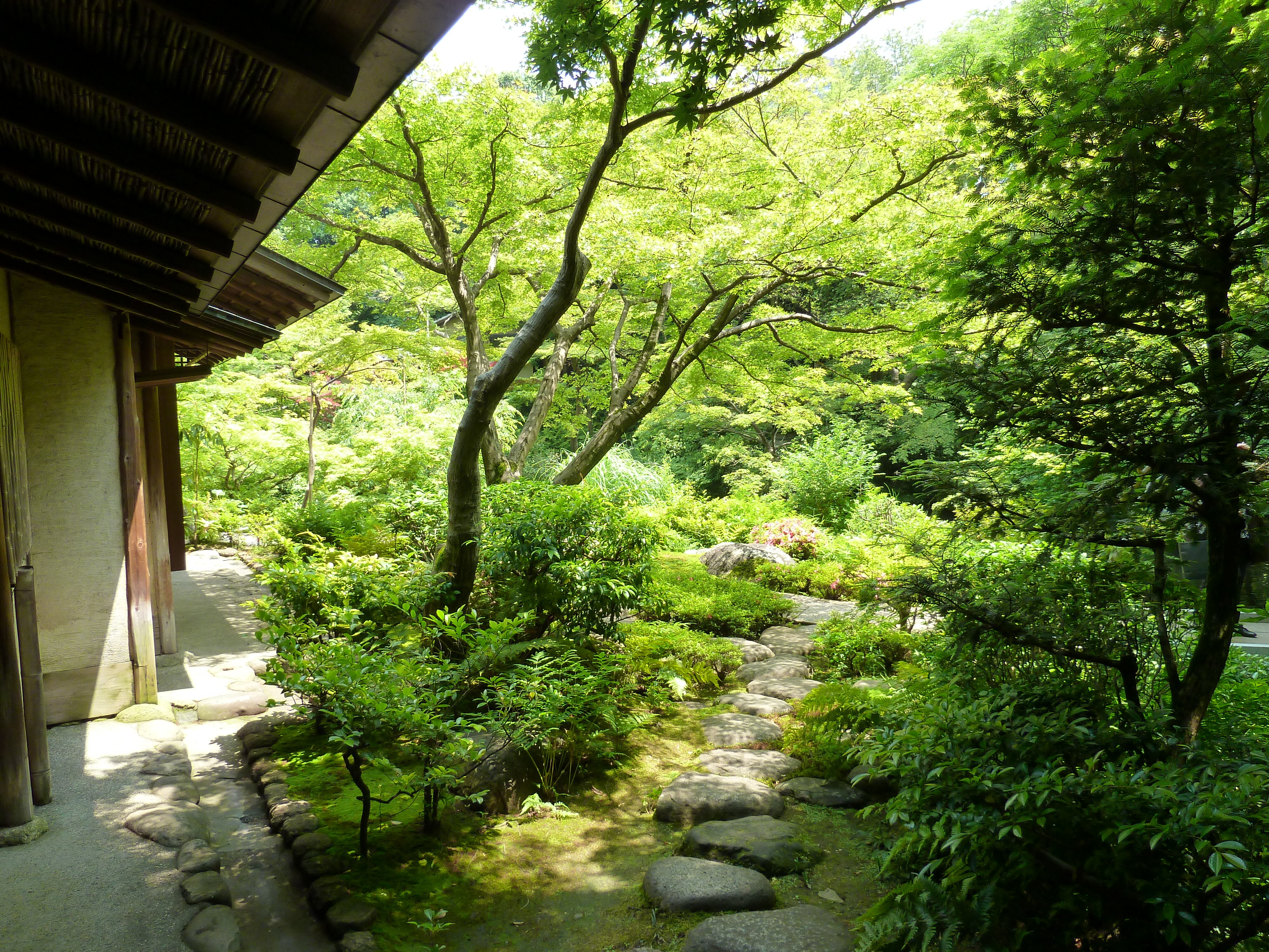 Picture Japan Tokyo Nezu Museum 2010-06 11 - Journey Nezu Museum