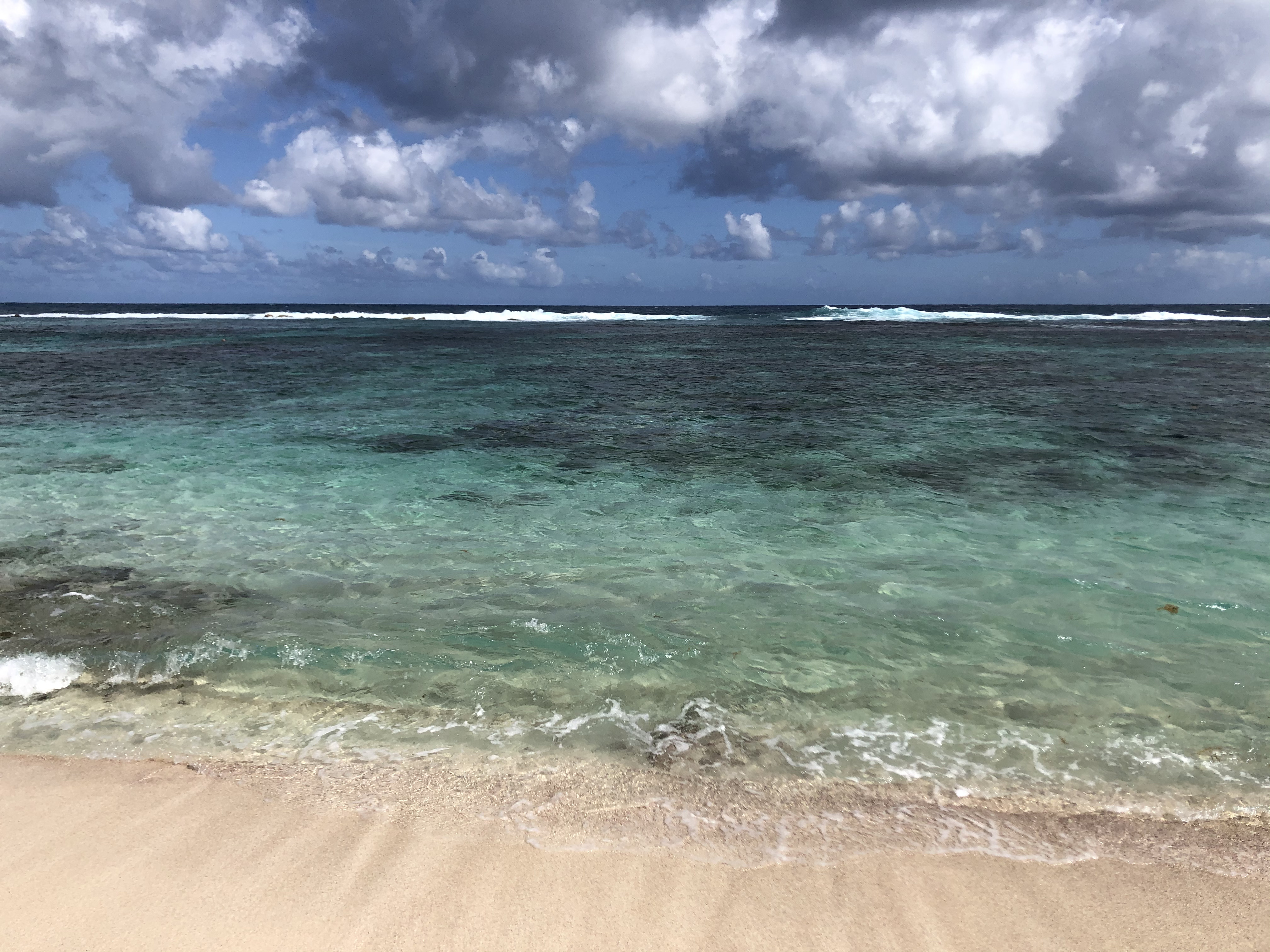 Picture Guadeloupe Grande Anse des Salines Beach 2021-02 9 - History Grande Anse des Salines Beach