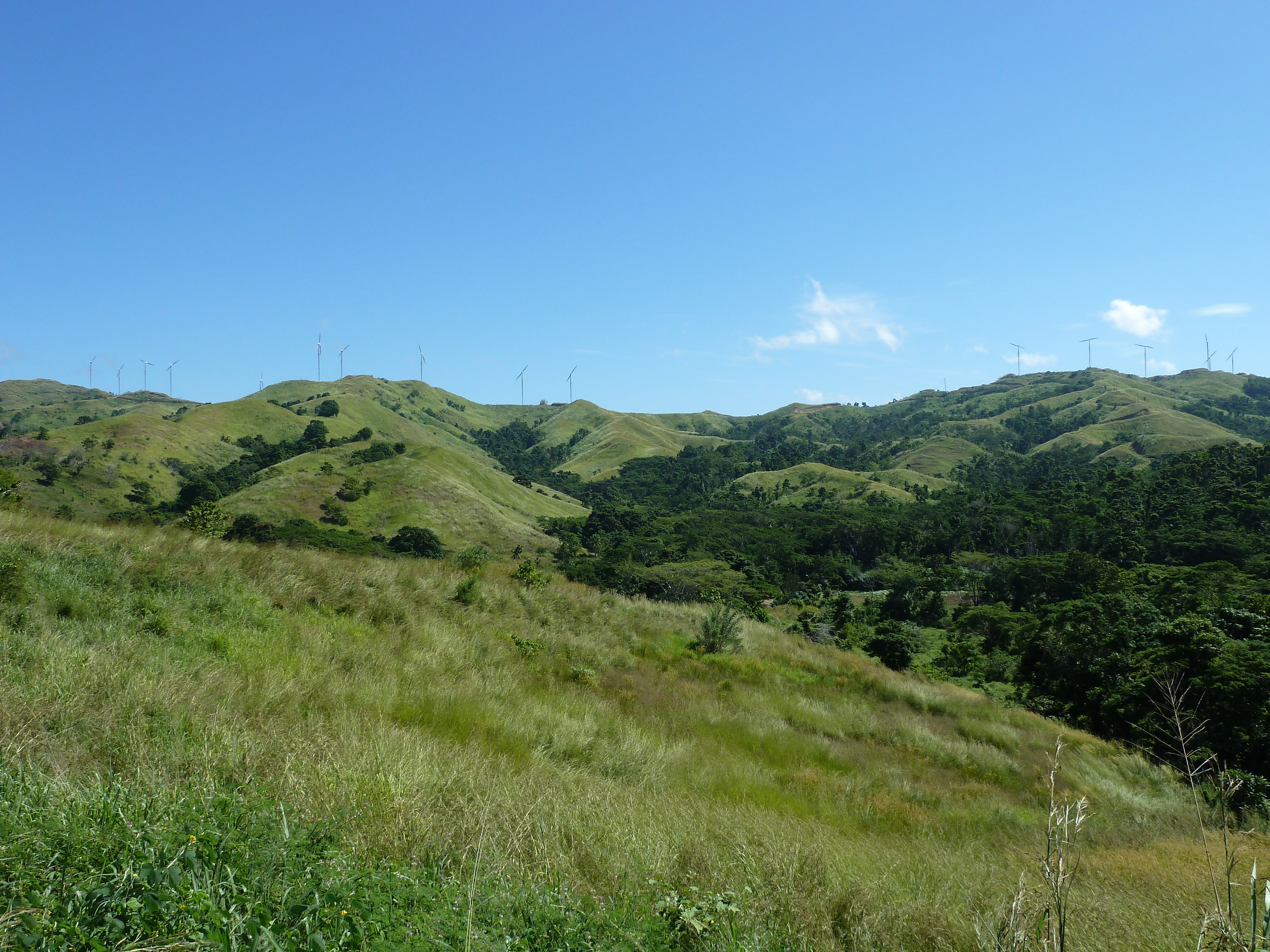 Picture Fiji Sigatoka river 2010-05 53 - Tours Sigatoka river