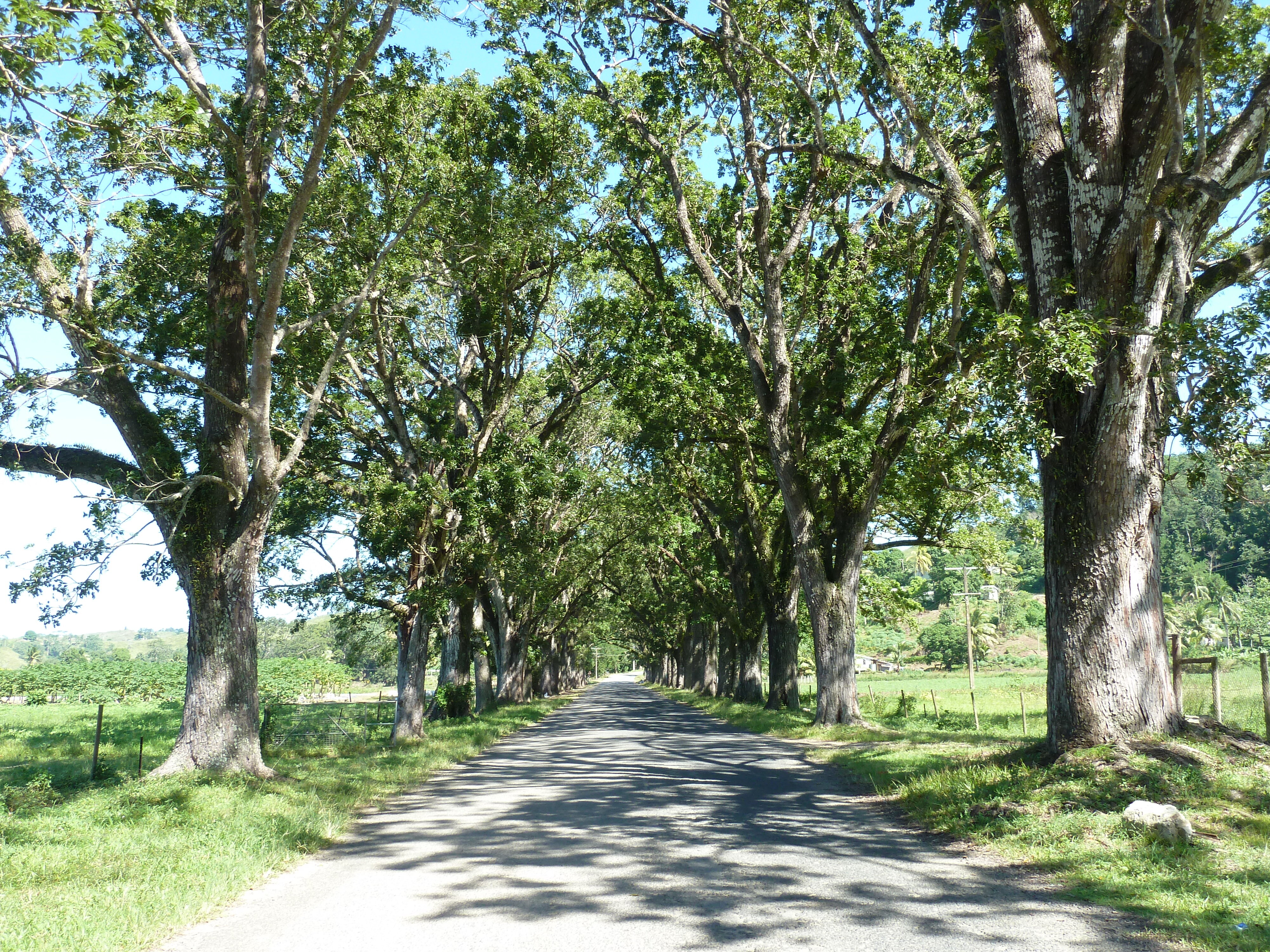 Picture Fiji Sigatoka river 2010-05 50 - Journey Sigatoka river