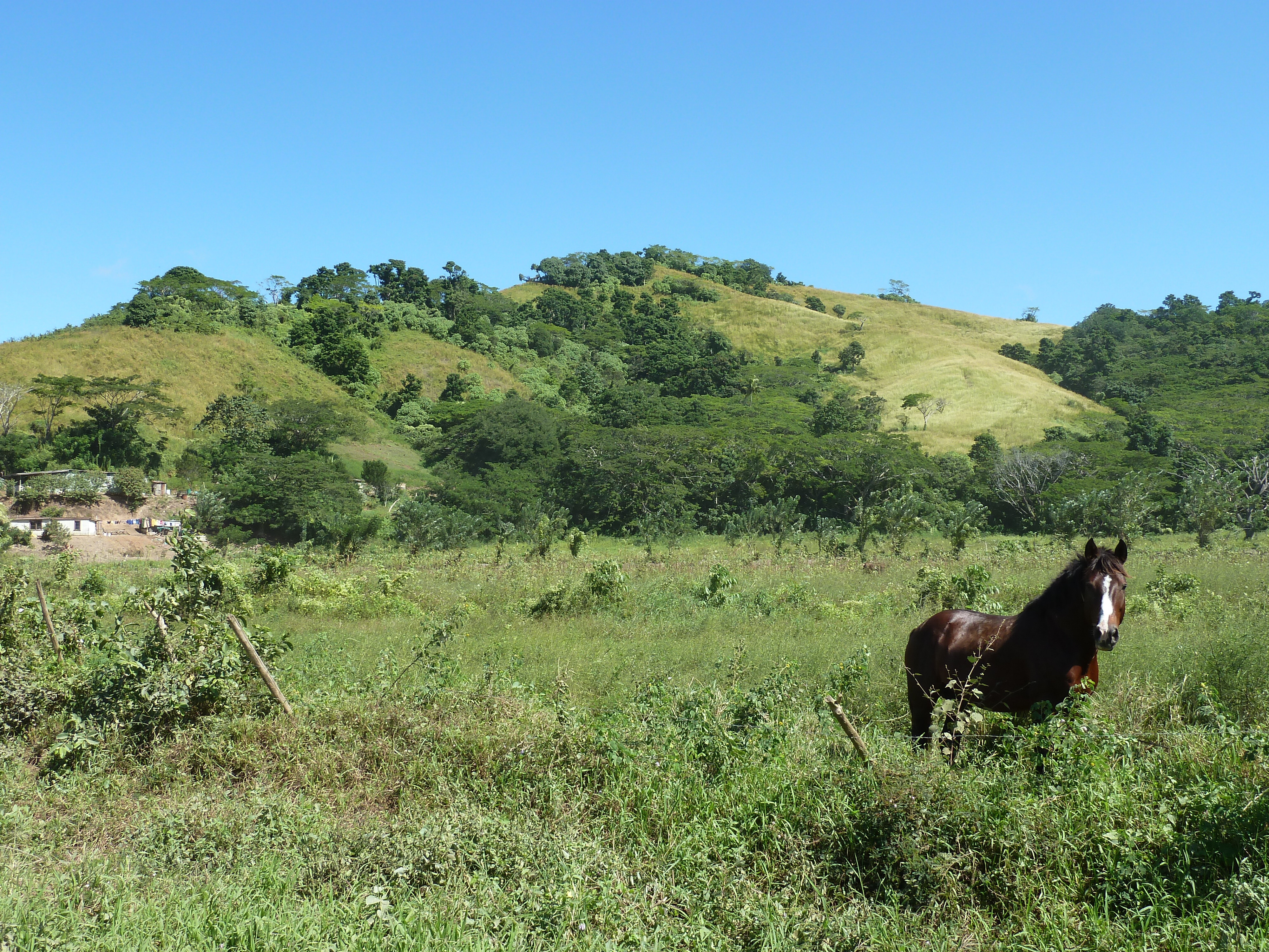 Picture Fiji Sigatoka river 2010-05 51 - Tour Sigatoka river